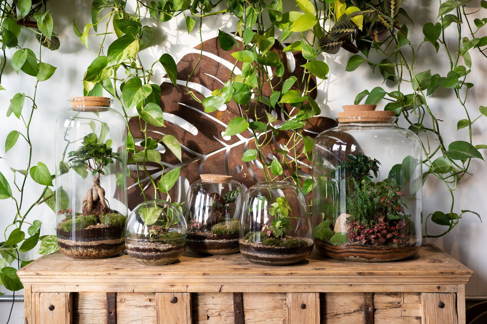 Guests building terrariums together at a Botanical Boys workshop