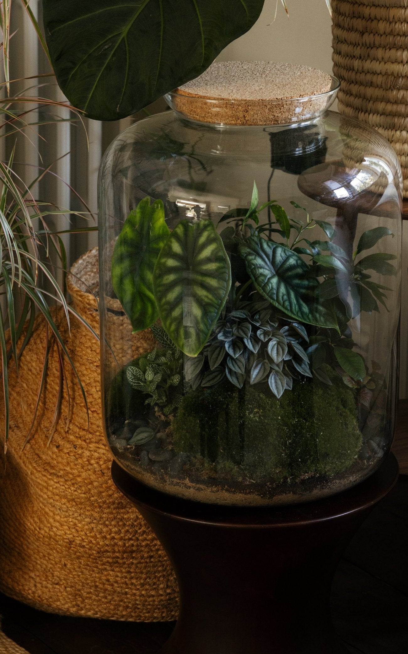 The Closed Terrarium Care Journal