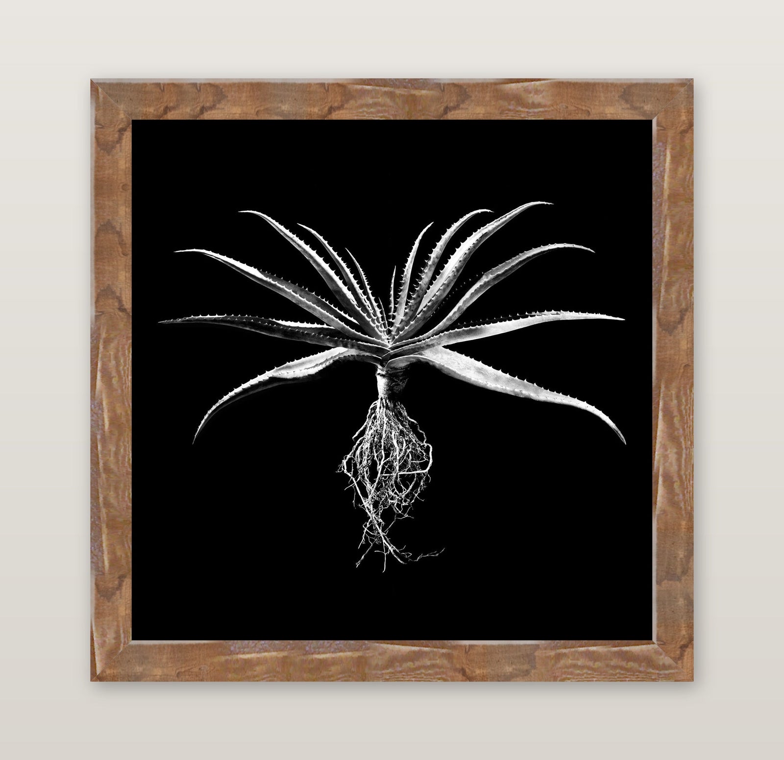 framed