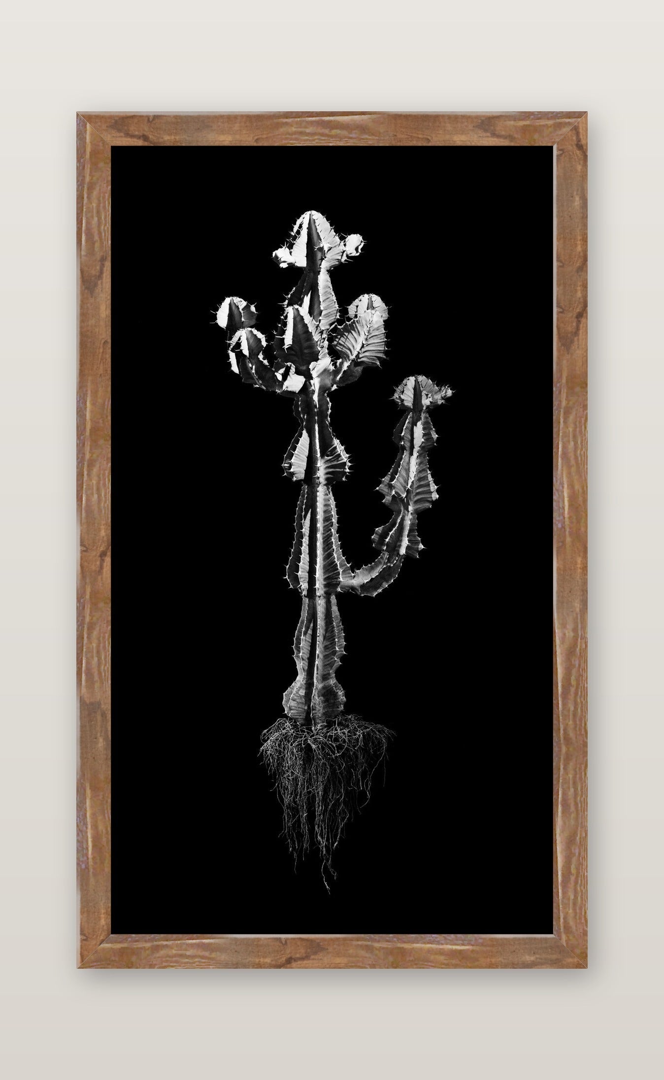 framed
