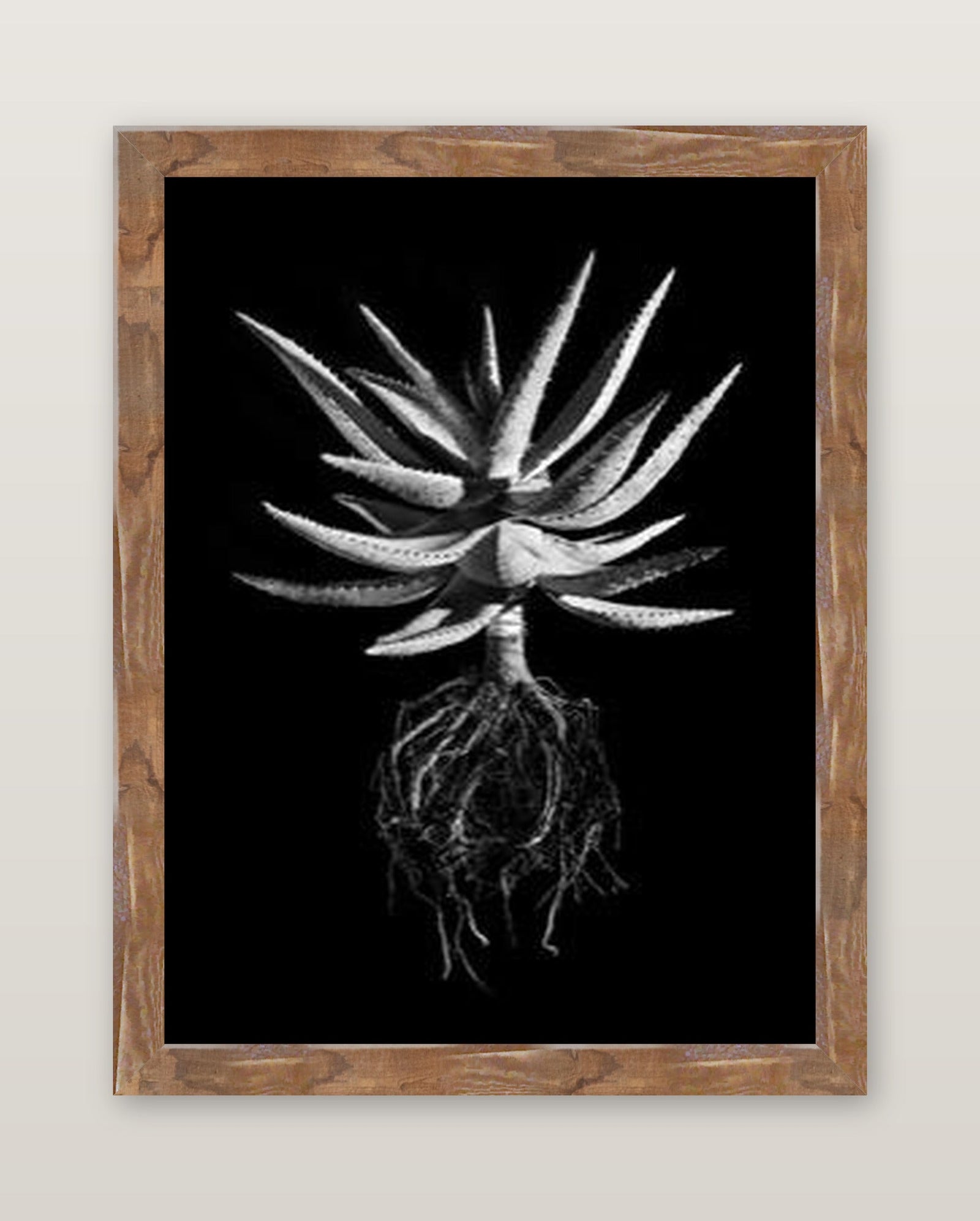 framed