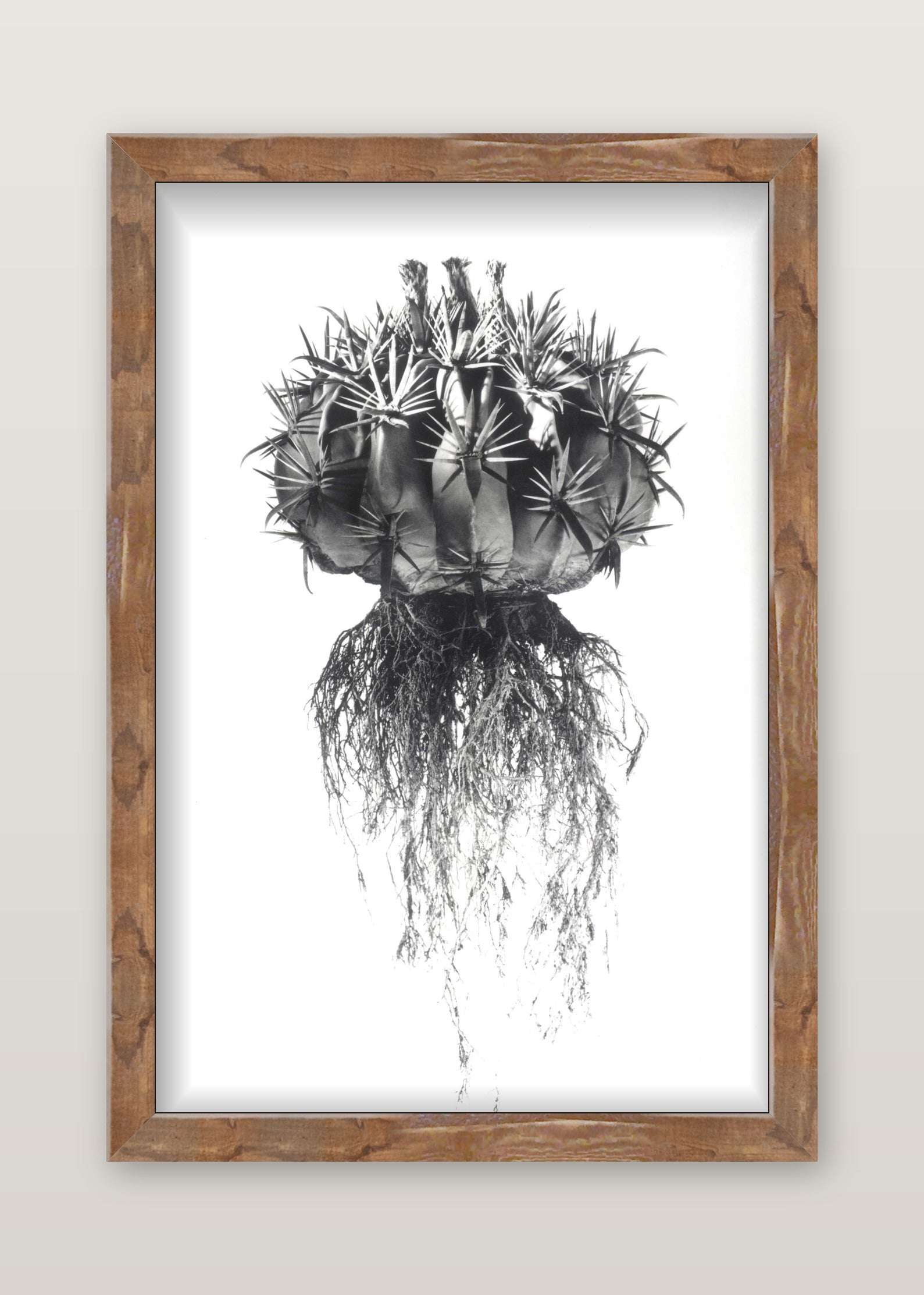 framed