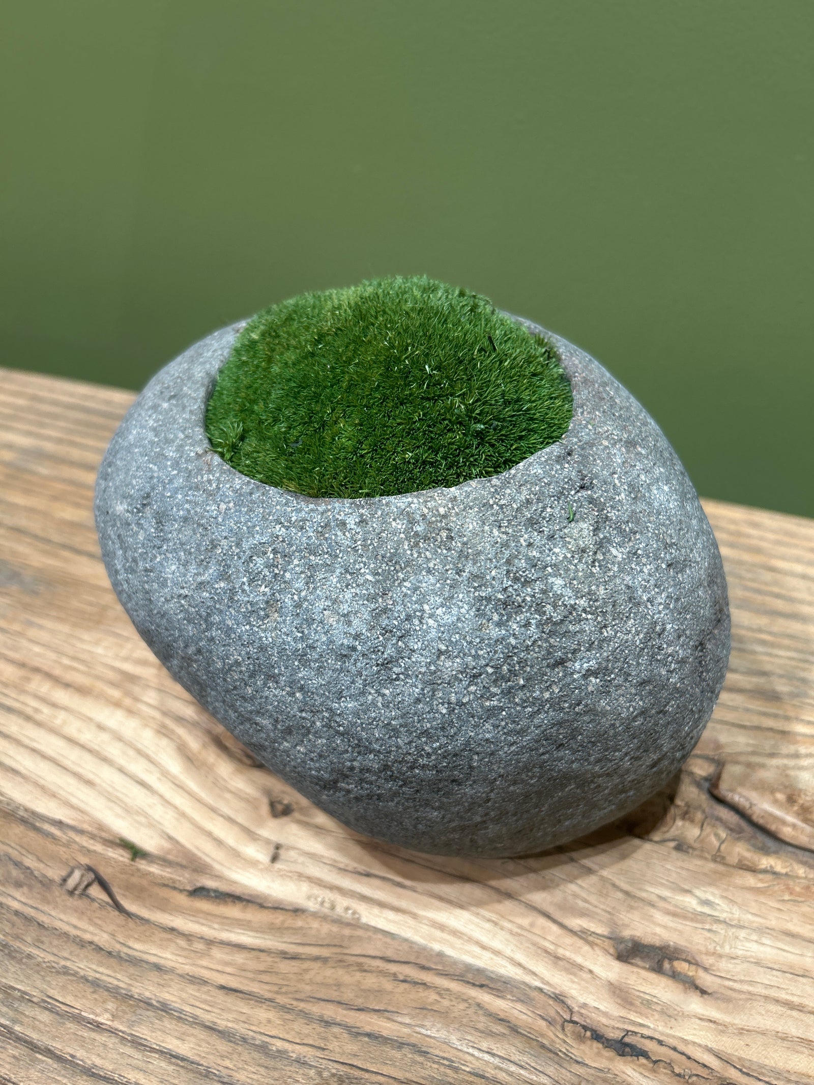 Indo Riverstone planted with Preserved Moss FR68