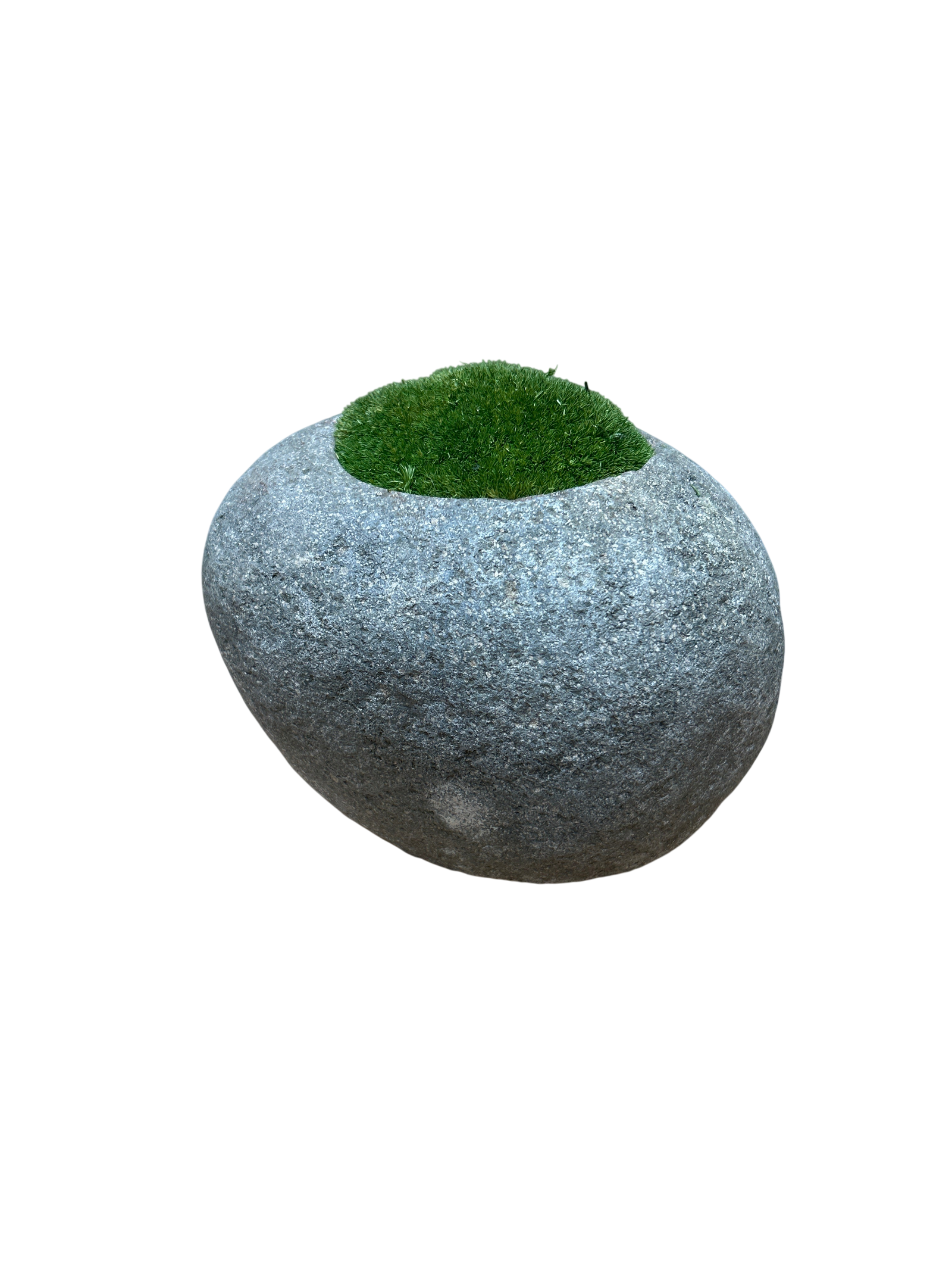 Indo Riverstone planted with Preserved Moss FR68