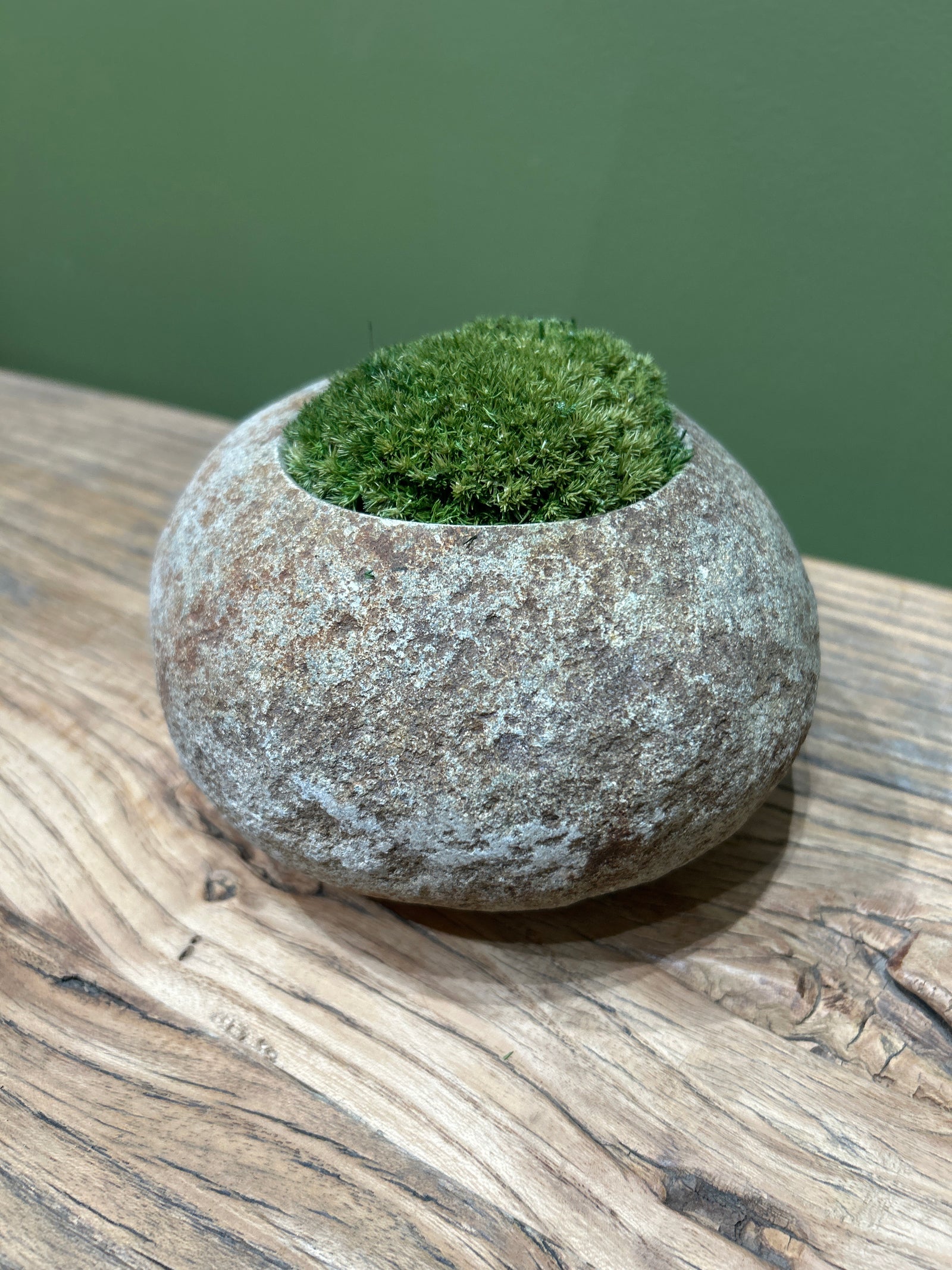 Indo riverstone with preserved moss — detail of the moss and stone