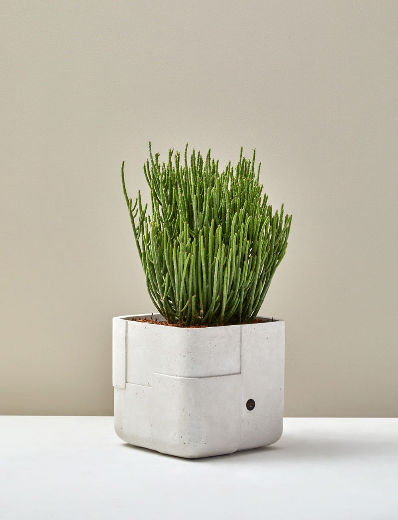 Aarde Planter
