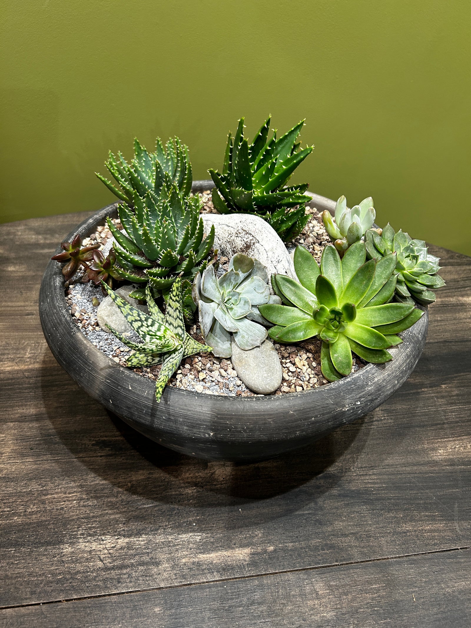 Succulent Garden in Old Black Asian Bowl FR62