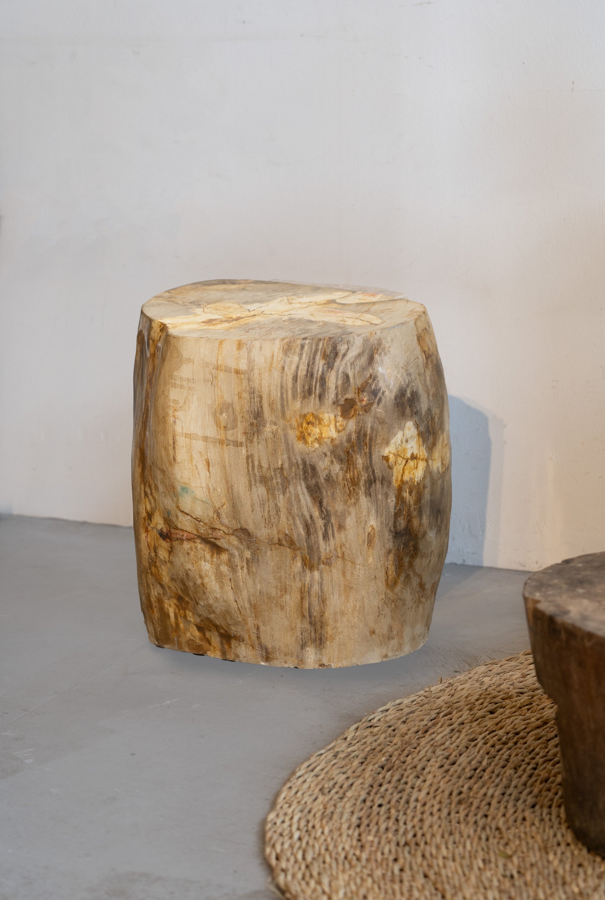 Petrified Wood Side Table \ Stool