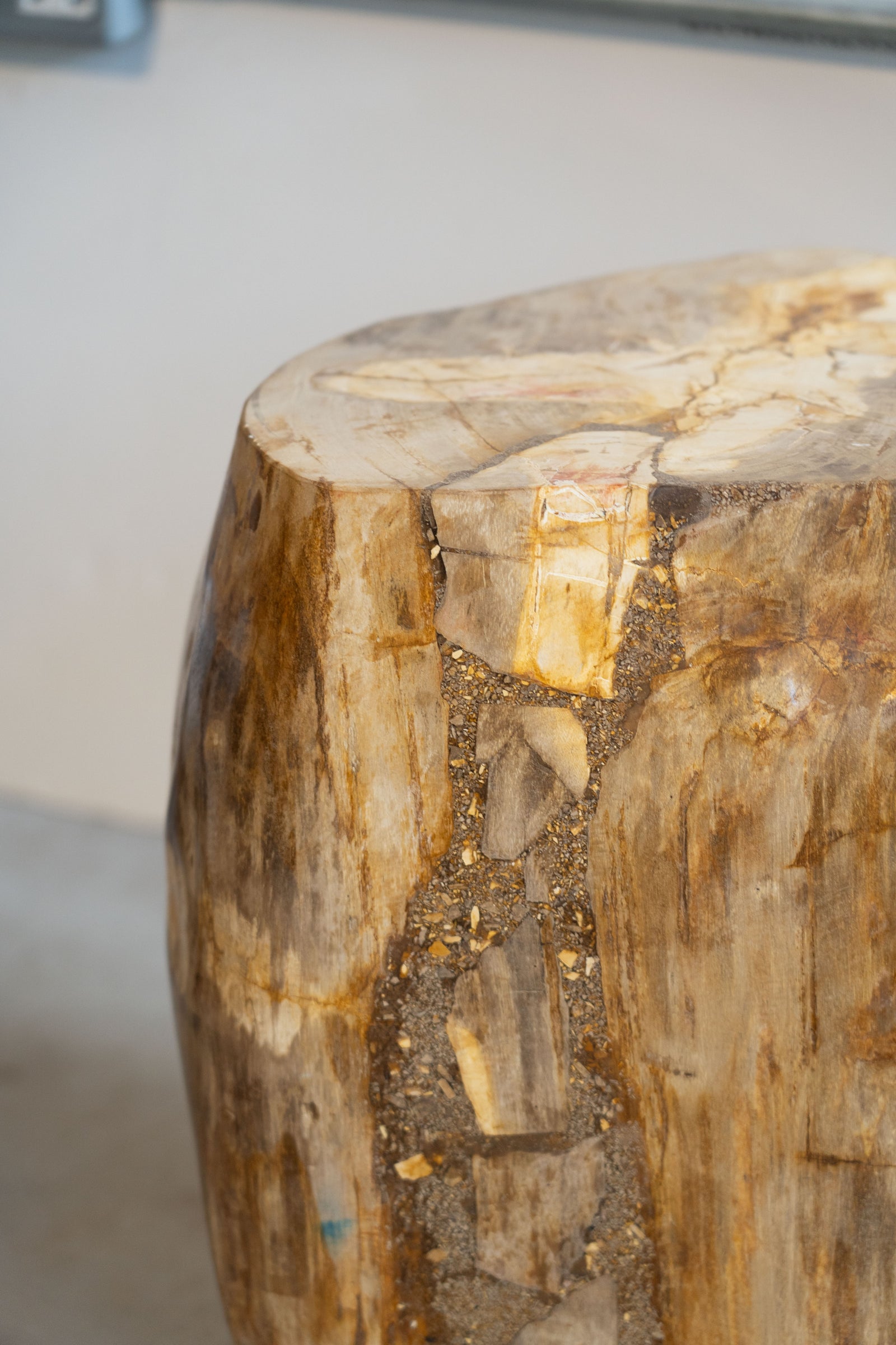Petrified Wood Side Table \ Stool