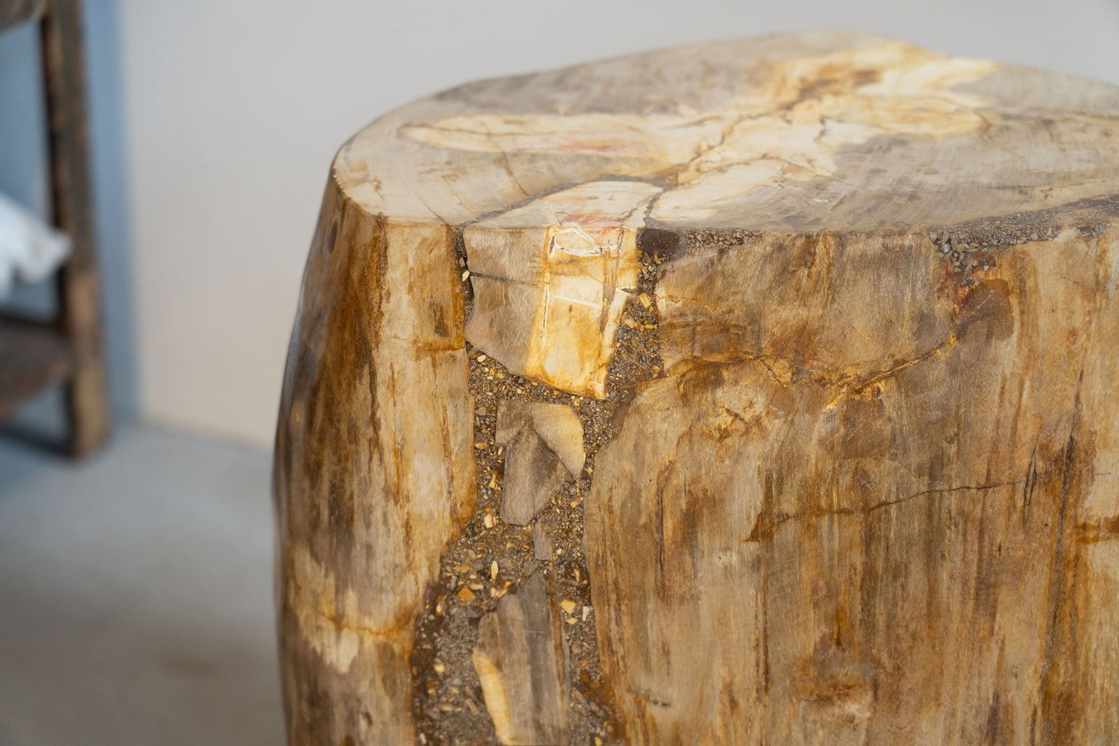 Petrified Wood Side Table \ Stool