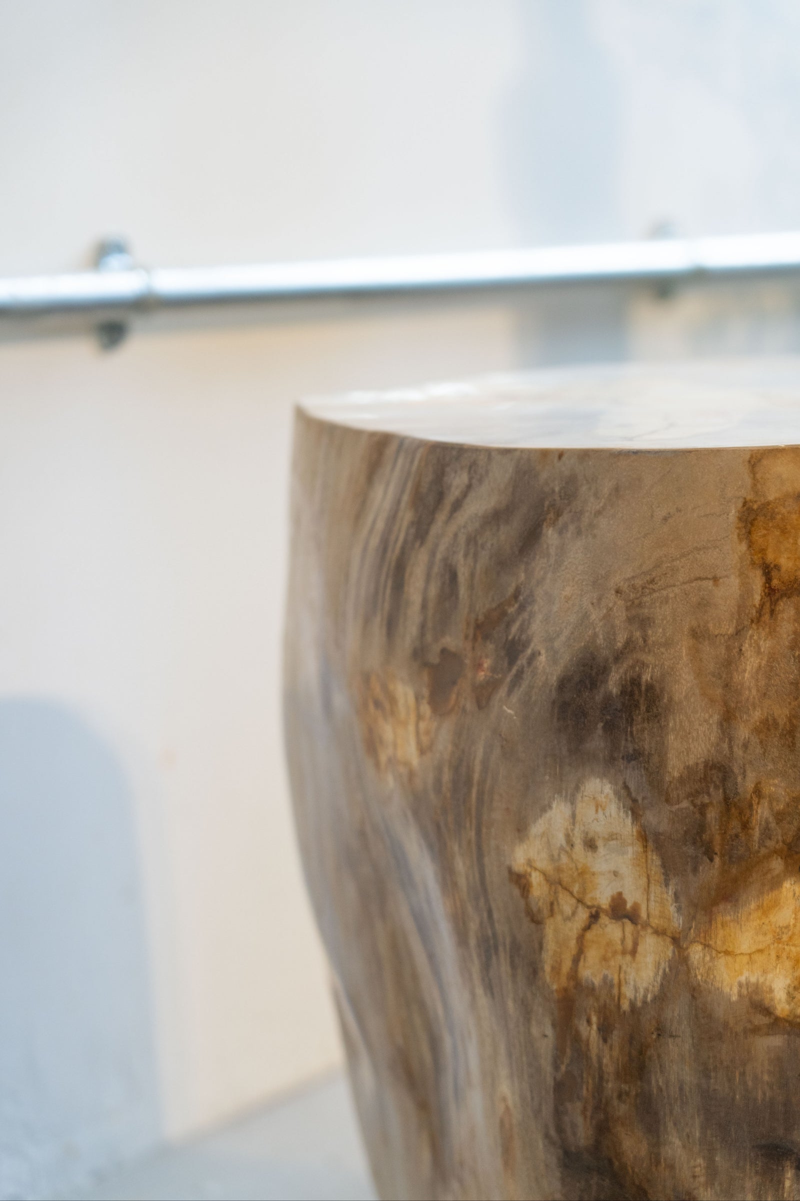 Petrified Wood Side Table \ Stool