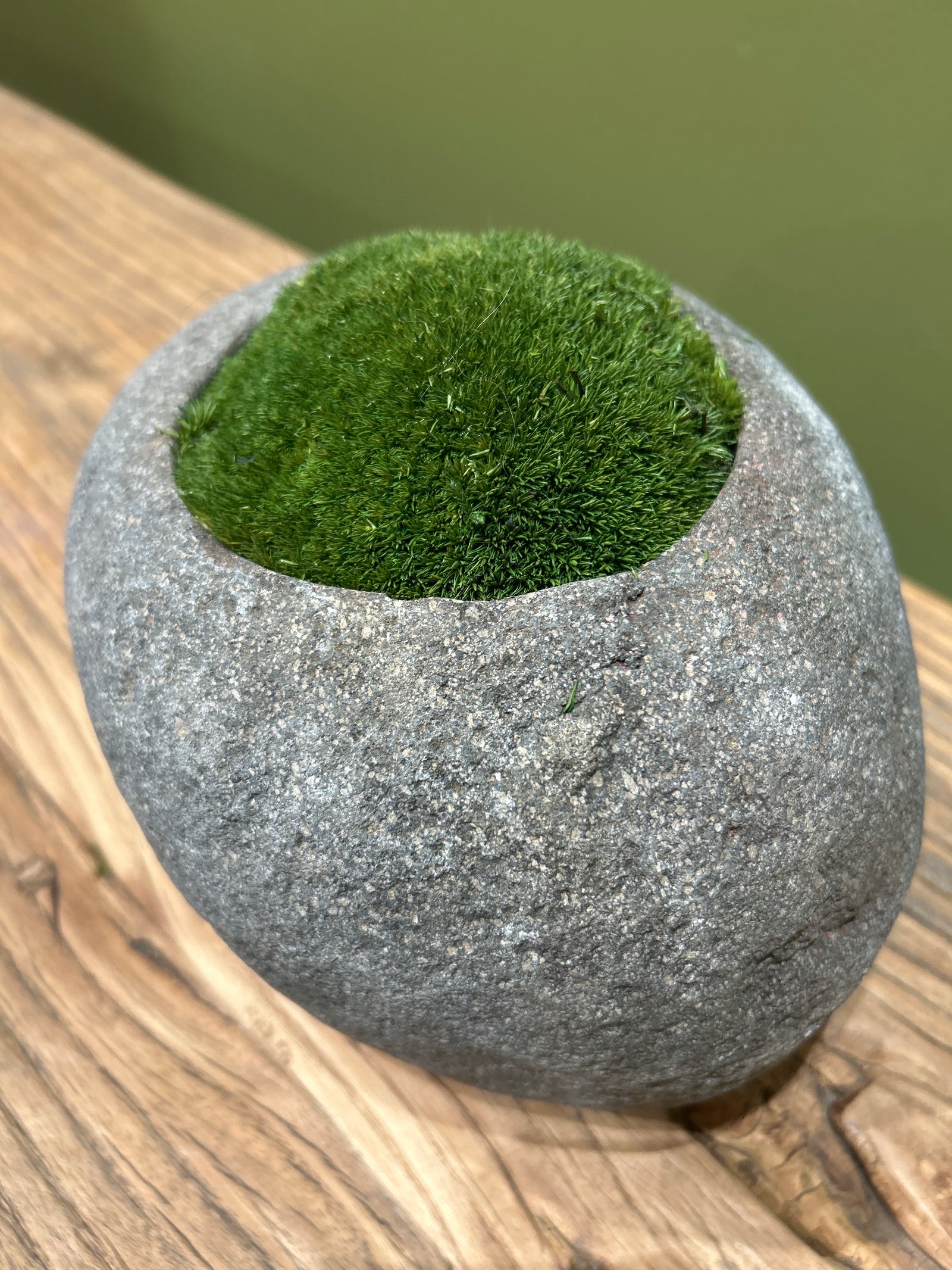 Indo Riverstone planted with Preserved Moss FR68