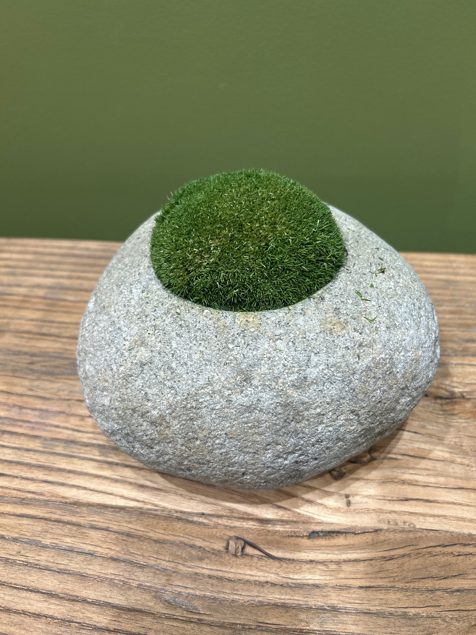 Indo riverstone with preserved moss — detail of the moss and stone