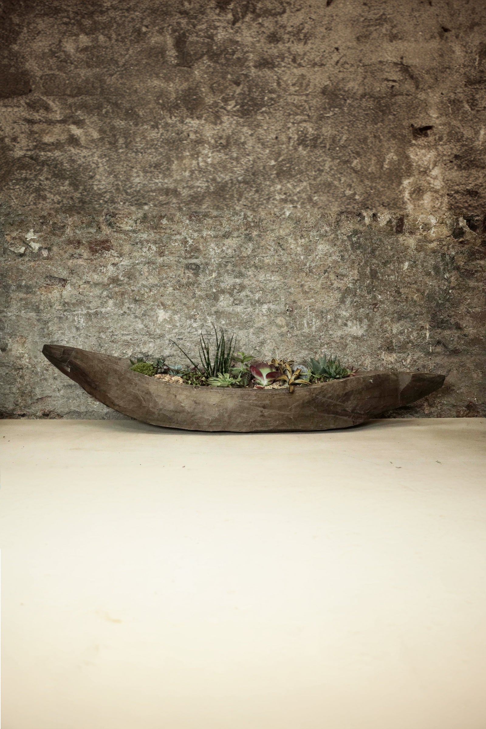 Mokoro Canoe planted with succulent garden FR39