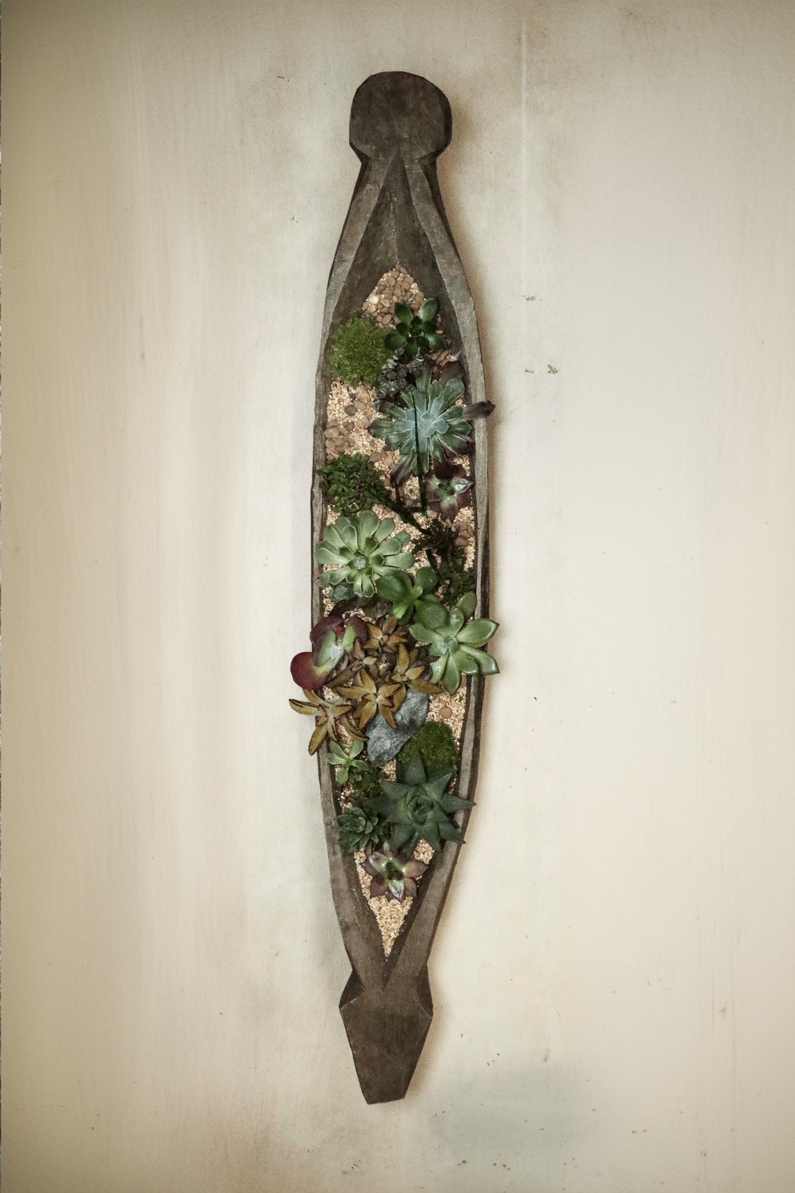 Mokoro Canoe planted with succulent garden FR39