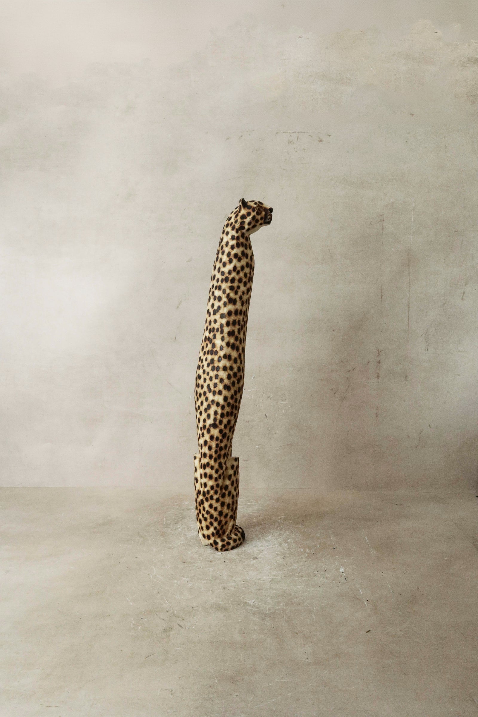 Swazi Cheetah - 37.1