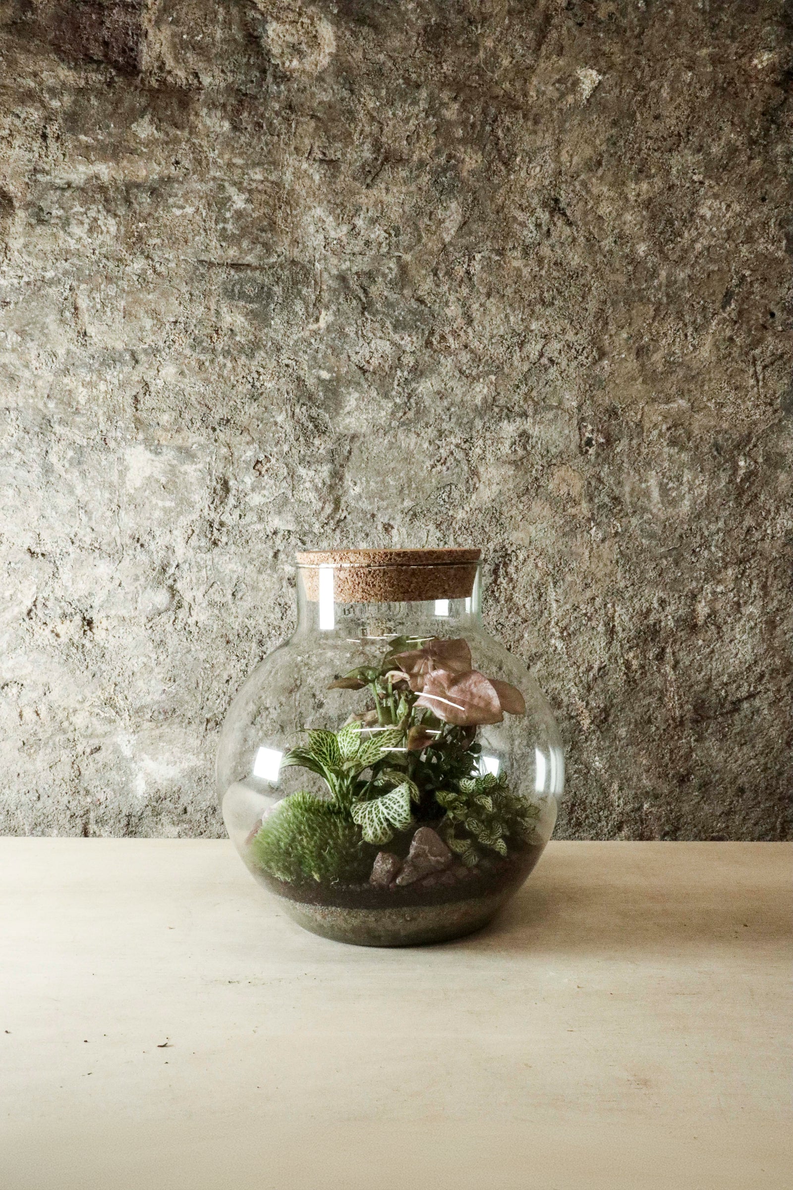 Bowl Jar Terrarium 44x34cm FR40