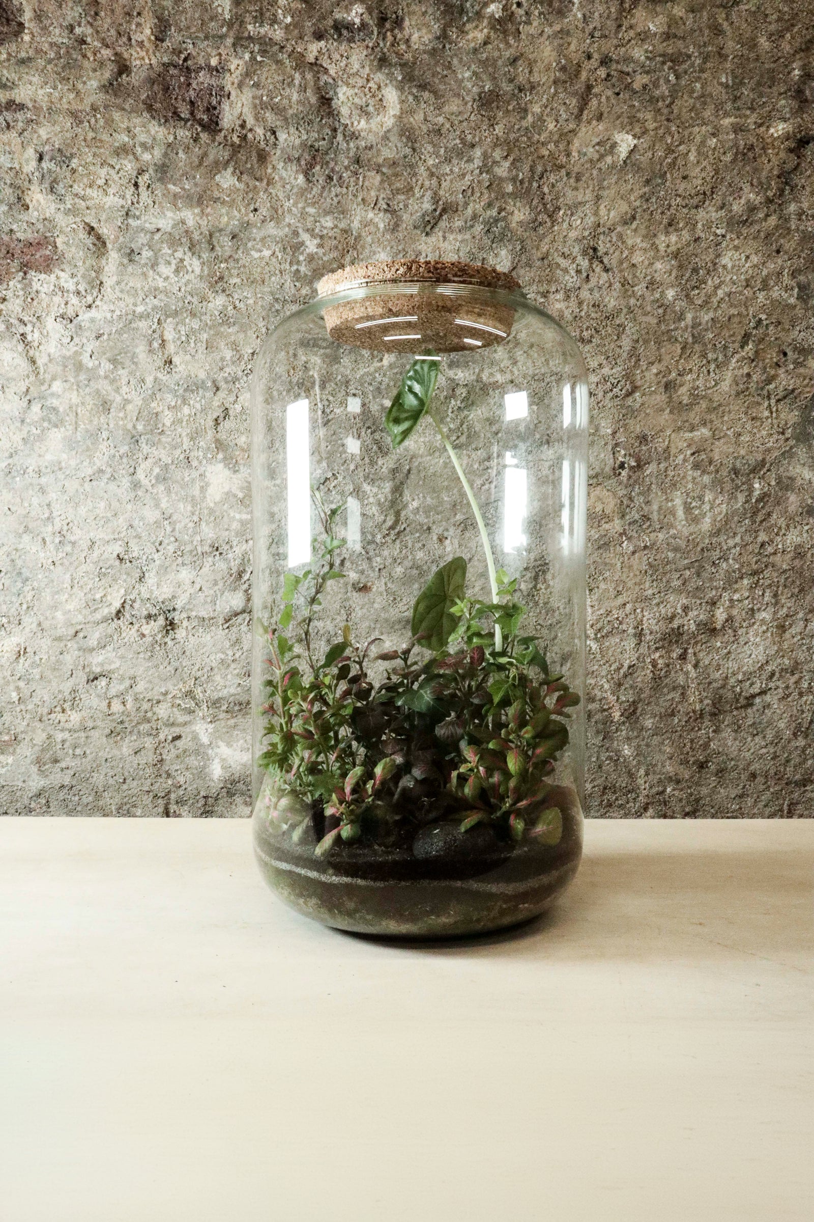 Contemporary Jar Terrarium 40x27cm FR33