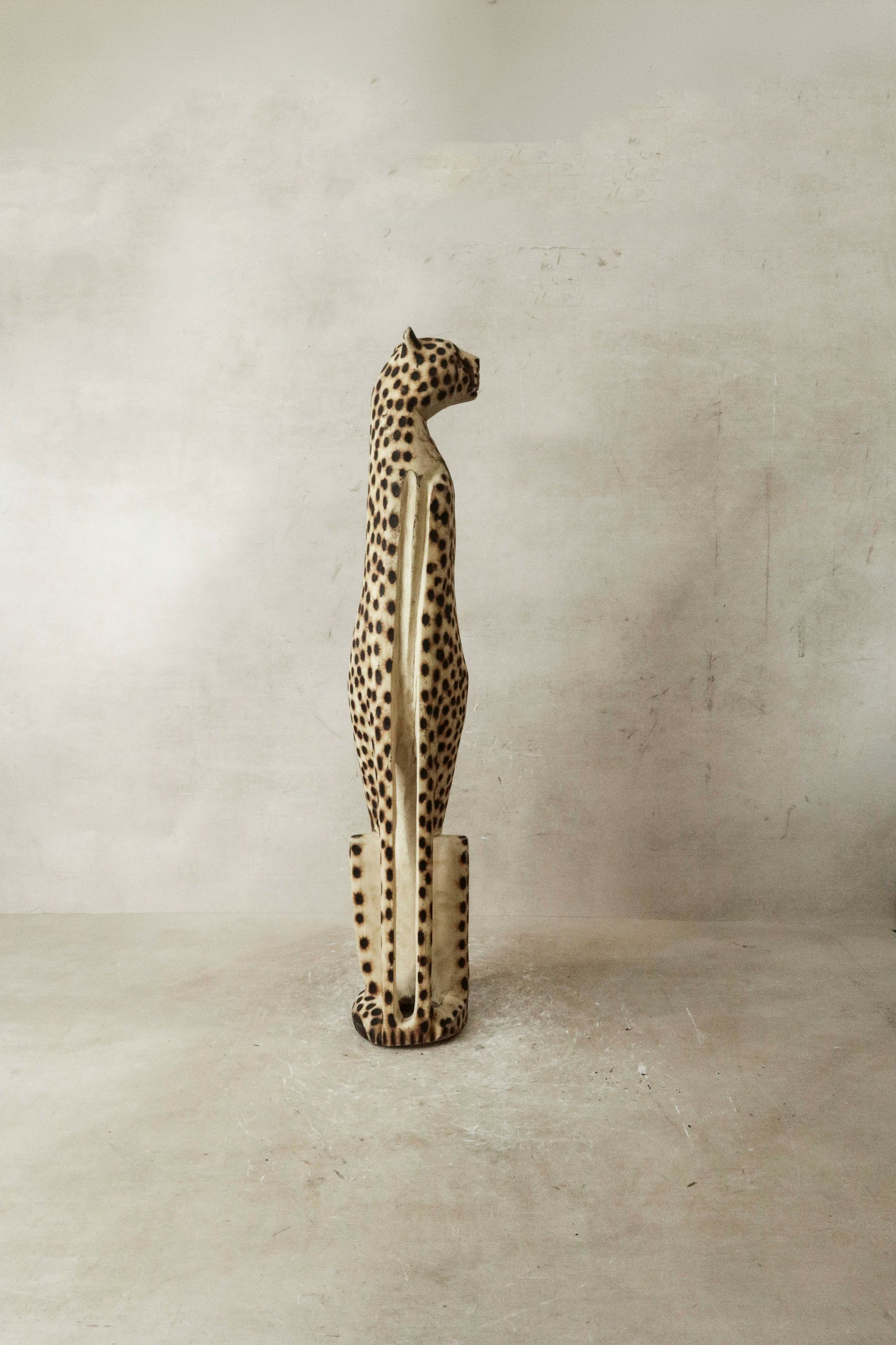 Swazi Cheetah - 37.2