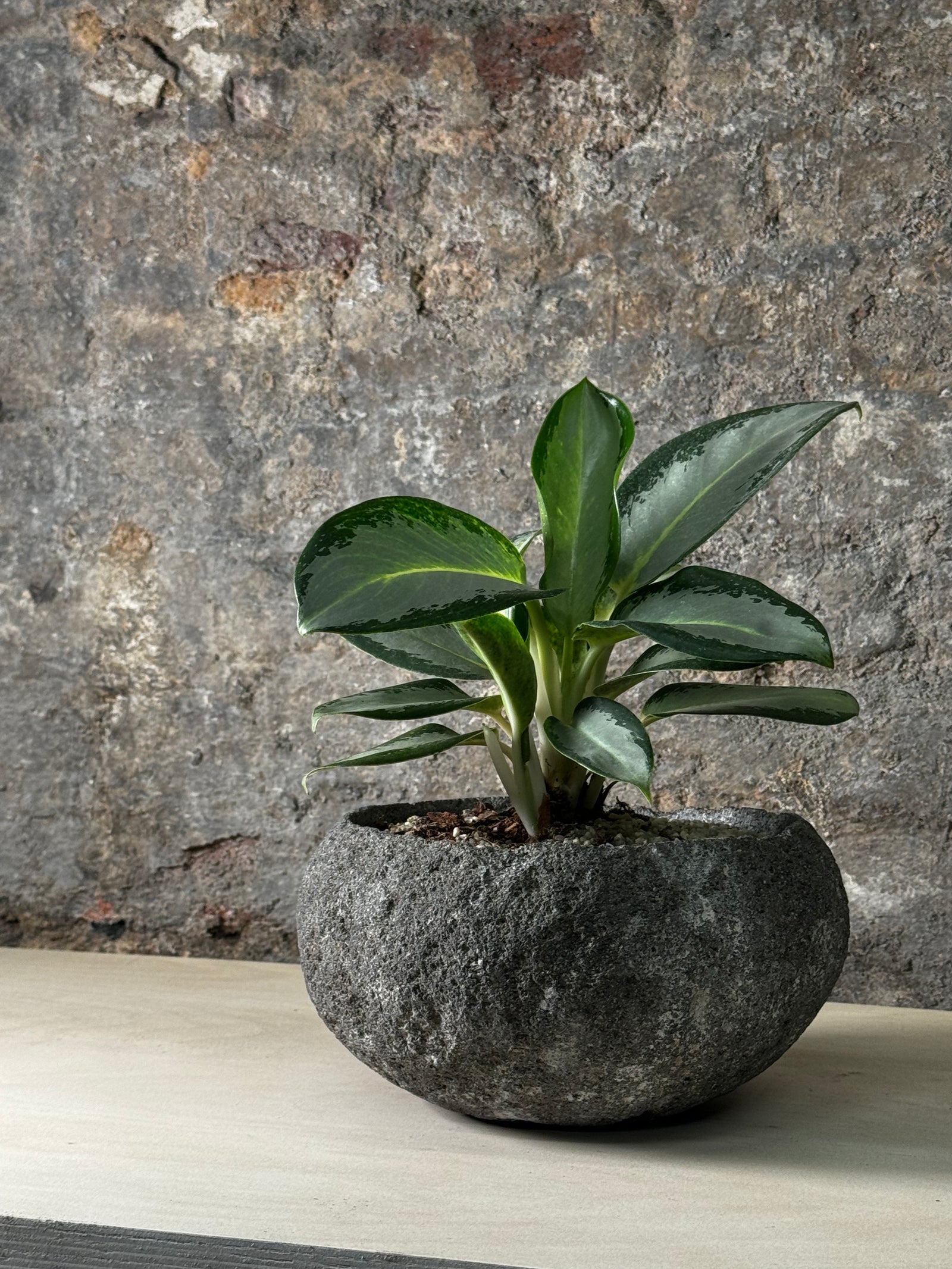 Indo riverstone planter — detail of the natural stone