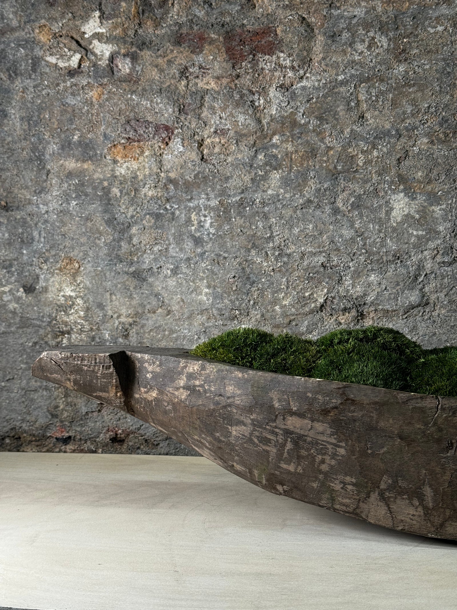 Mokoro Canoe with Preserved Moss Table Display FR38