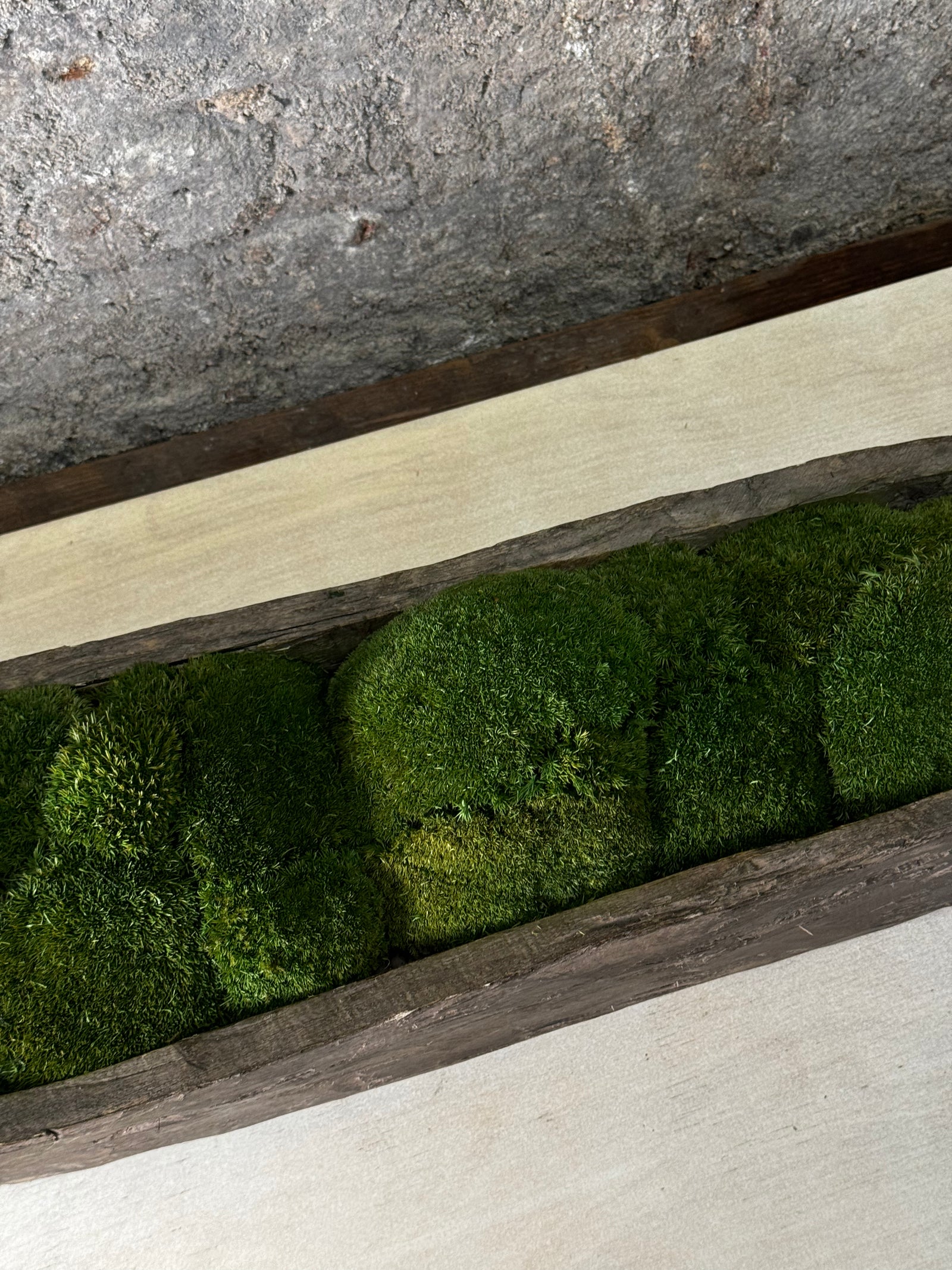 Mokoro Canoe with Preserved Moss Table Display FR38