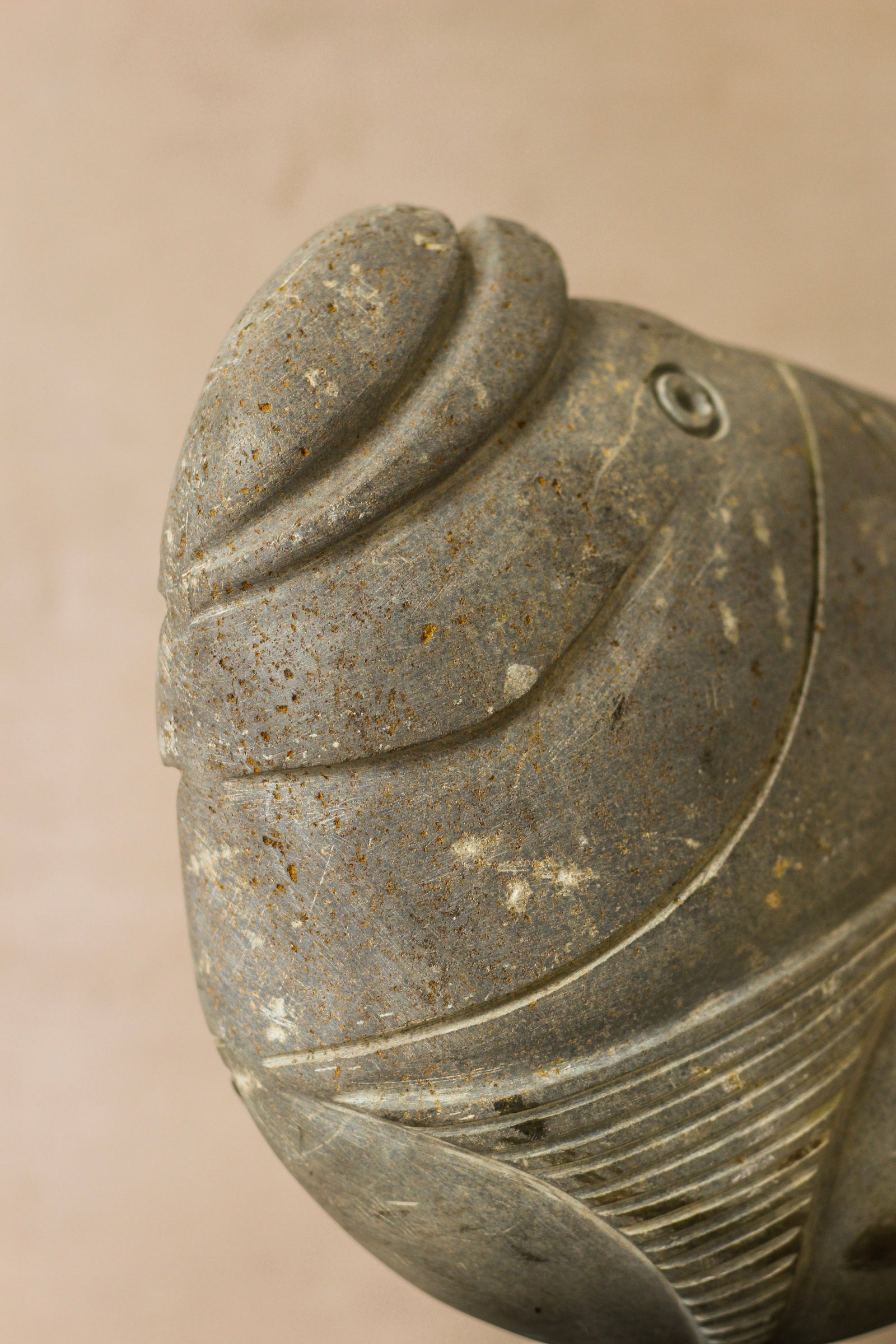 Stone Fish Sculpture - Zimbabwe - 98.2