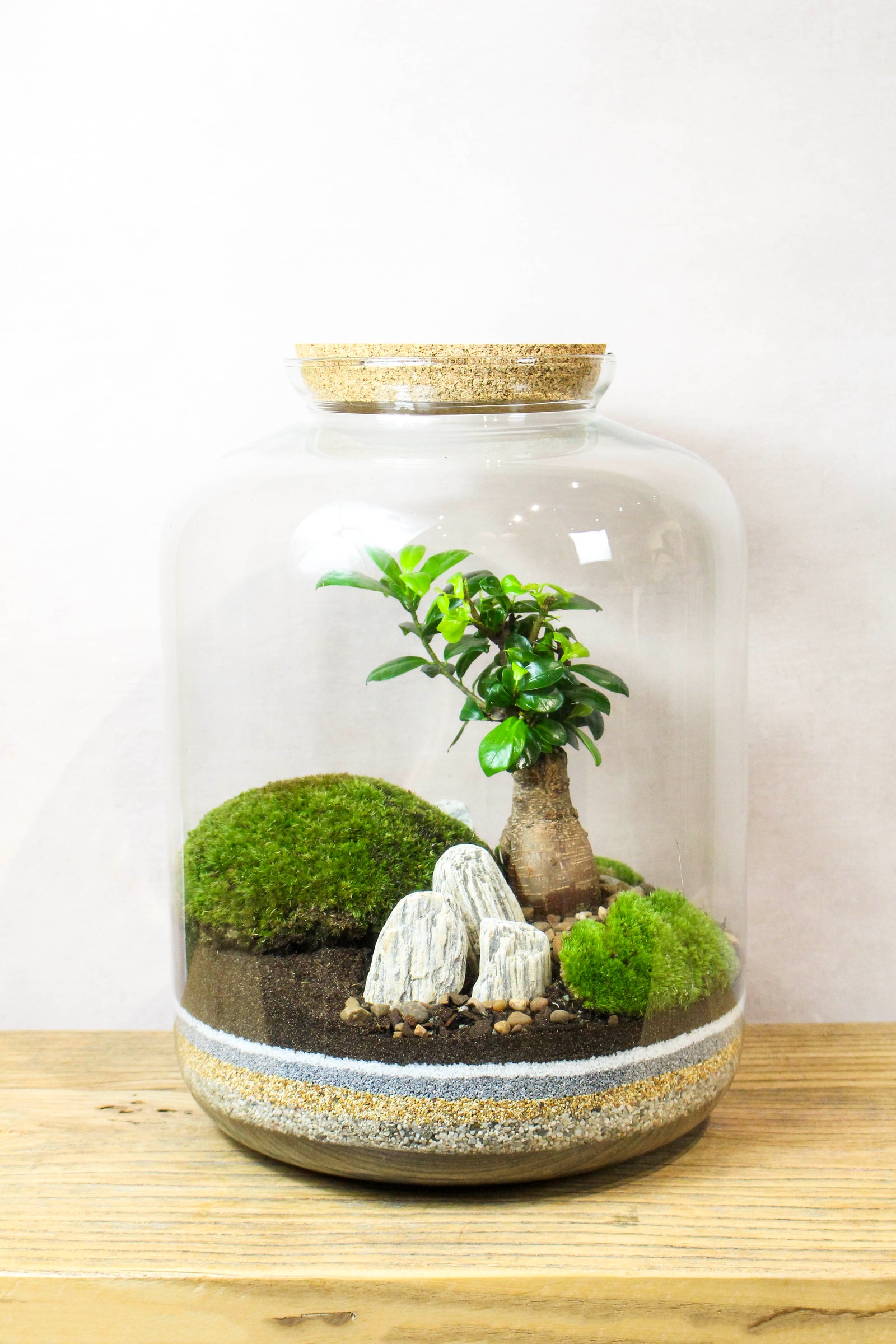 The Grande Terrarium (Zen) 45x34cm