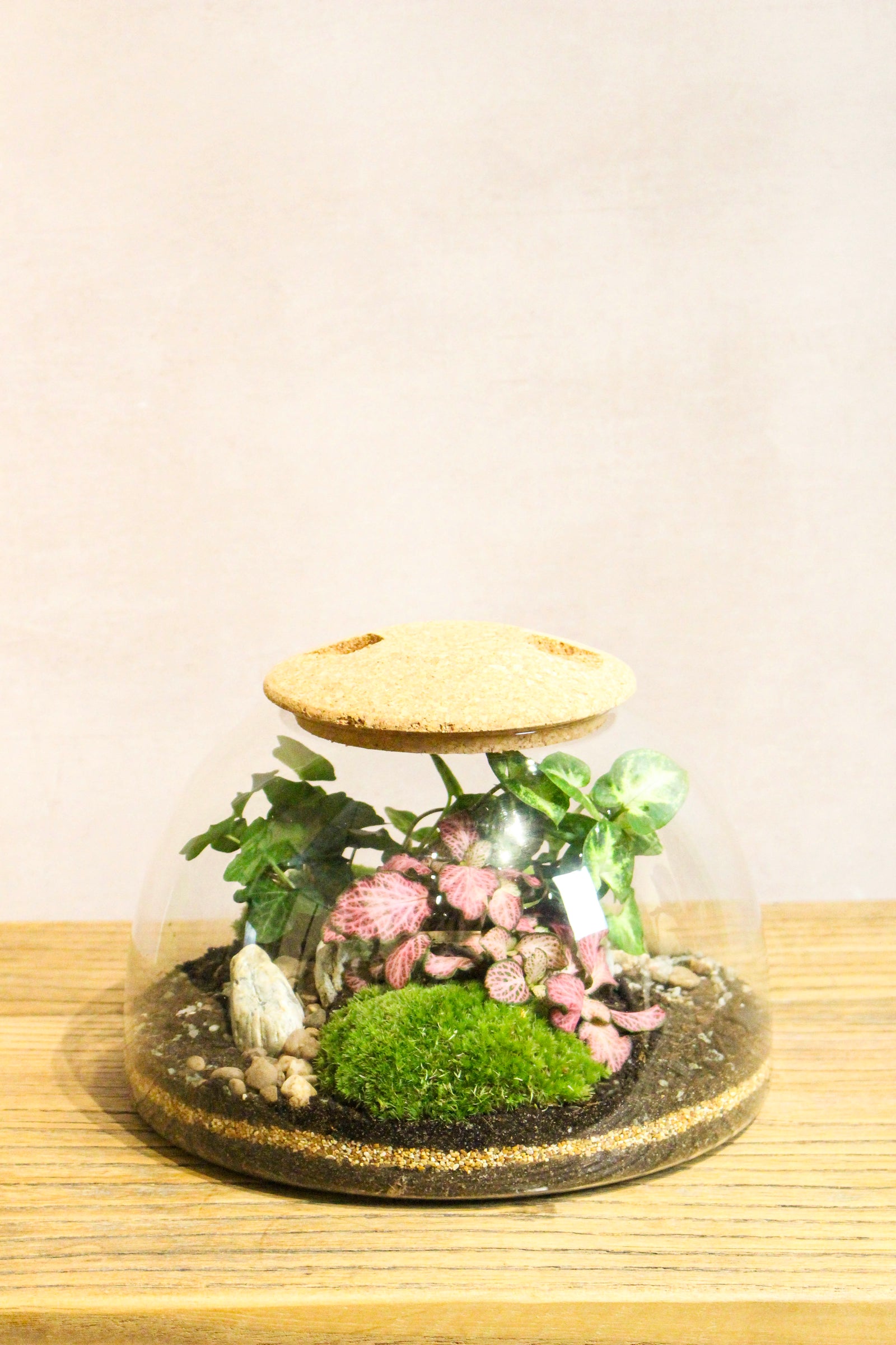 Eden Dome Terrarium 16.5cm