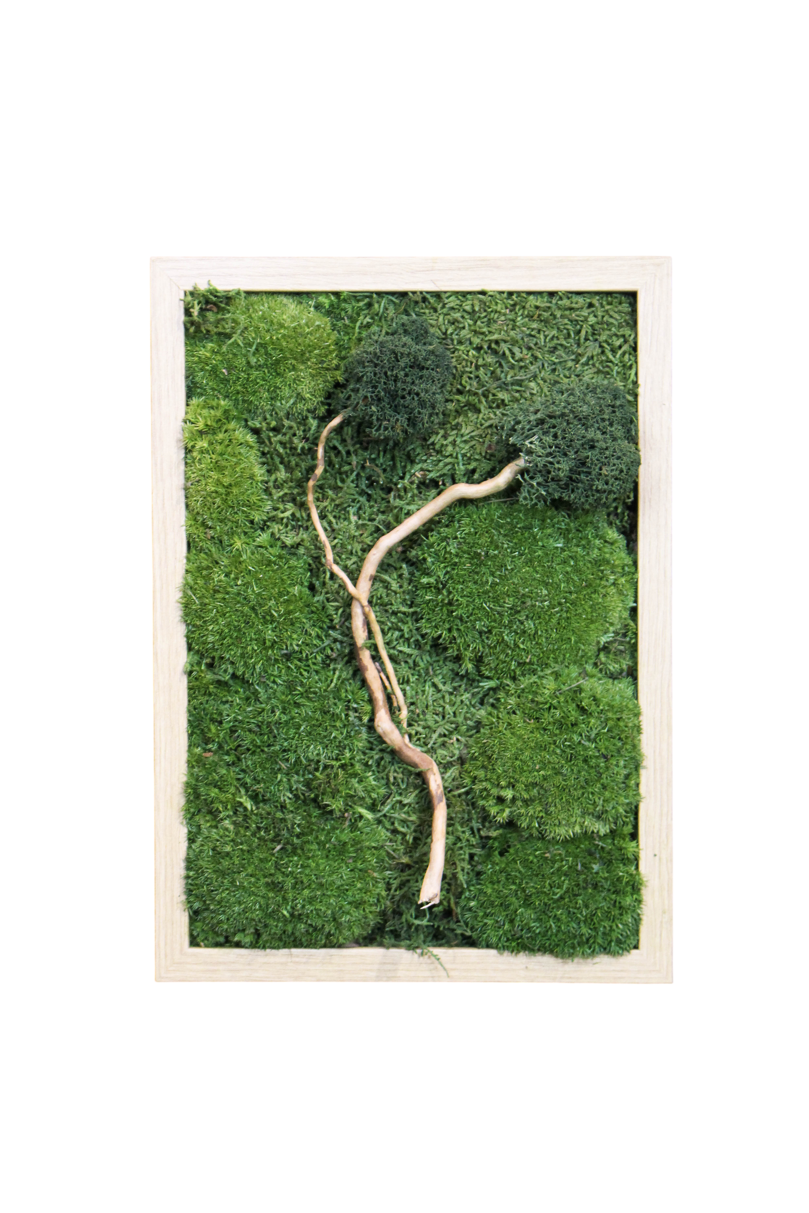 Preserved Moss Art - Zen (Wooden Frame) A4