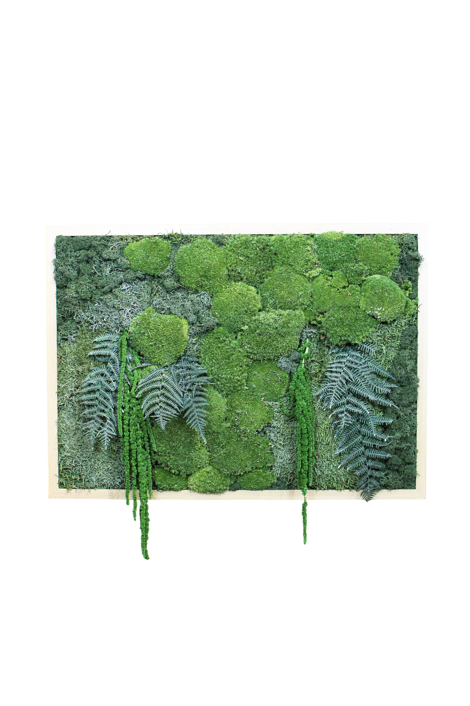 Preserved Moss Art (Forest Floor)
