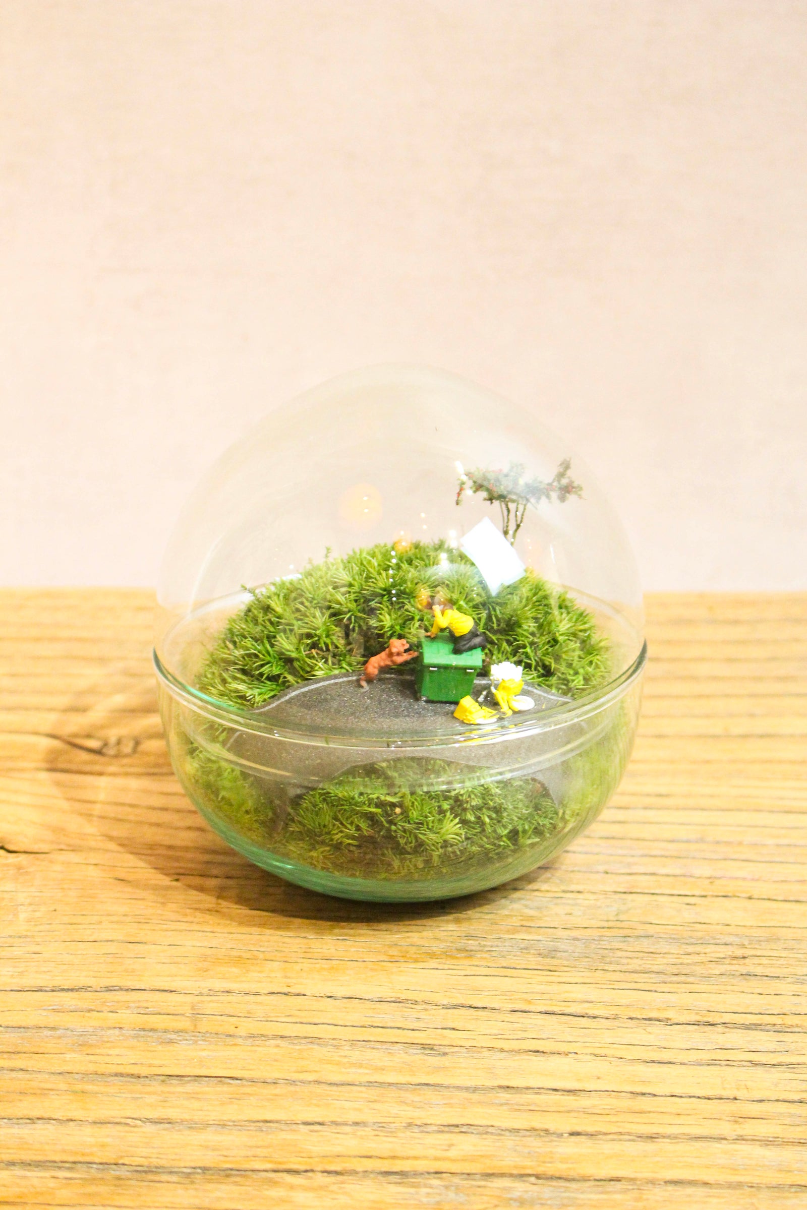 Preserved Moss Globe Scene (Beware Of The Dog)