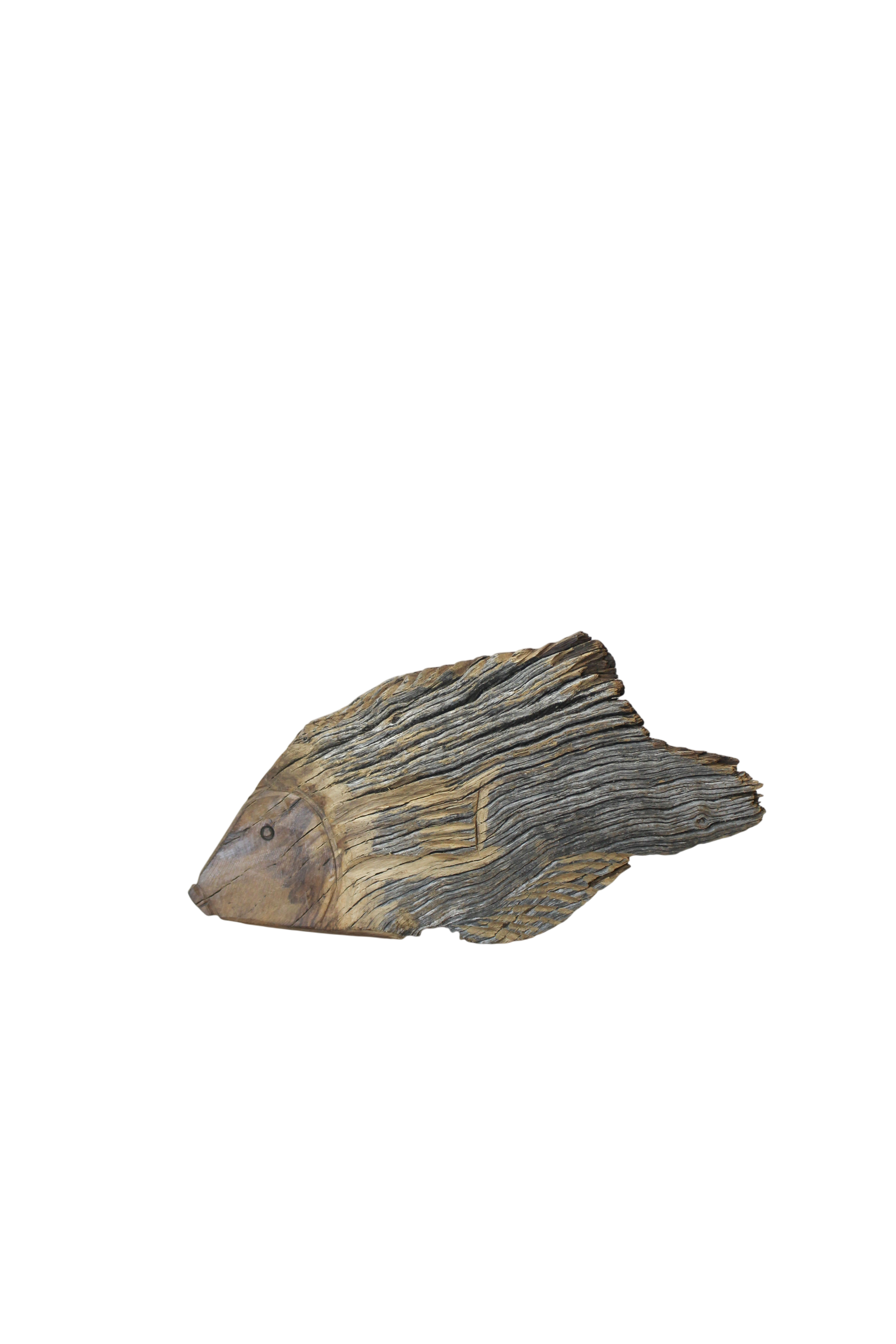 Driftwood Hand Carved Fish - (13.1)
