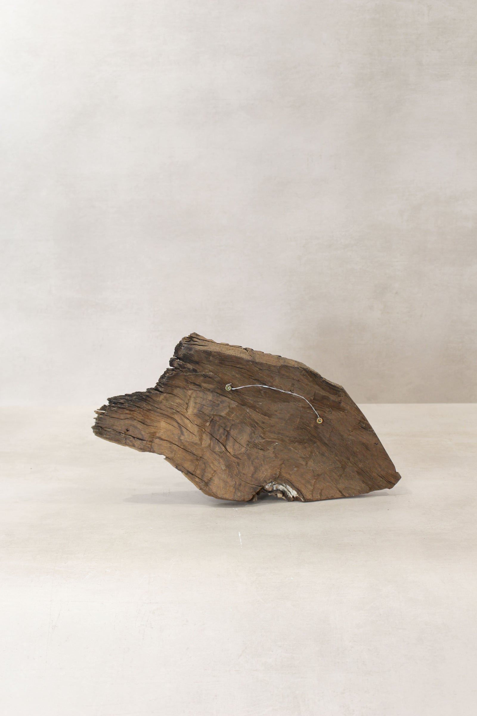 Driftwood Hand Carved Fish - (13.1)