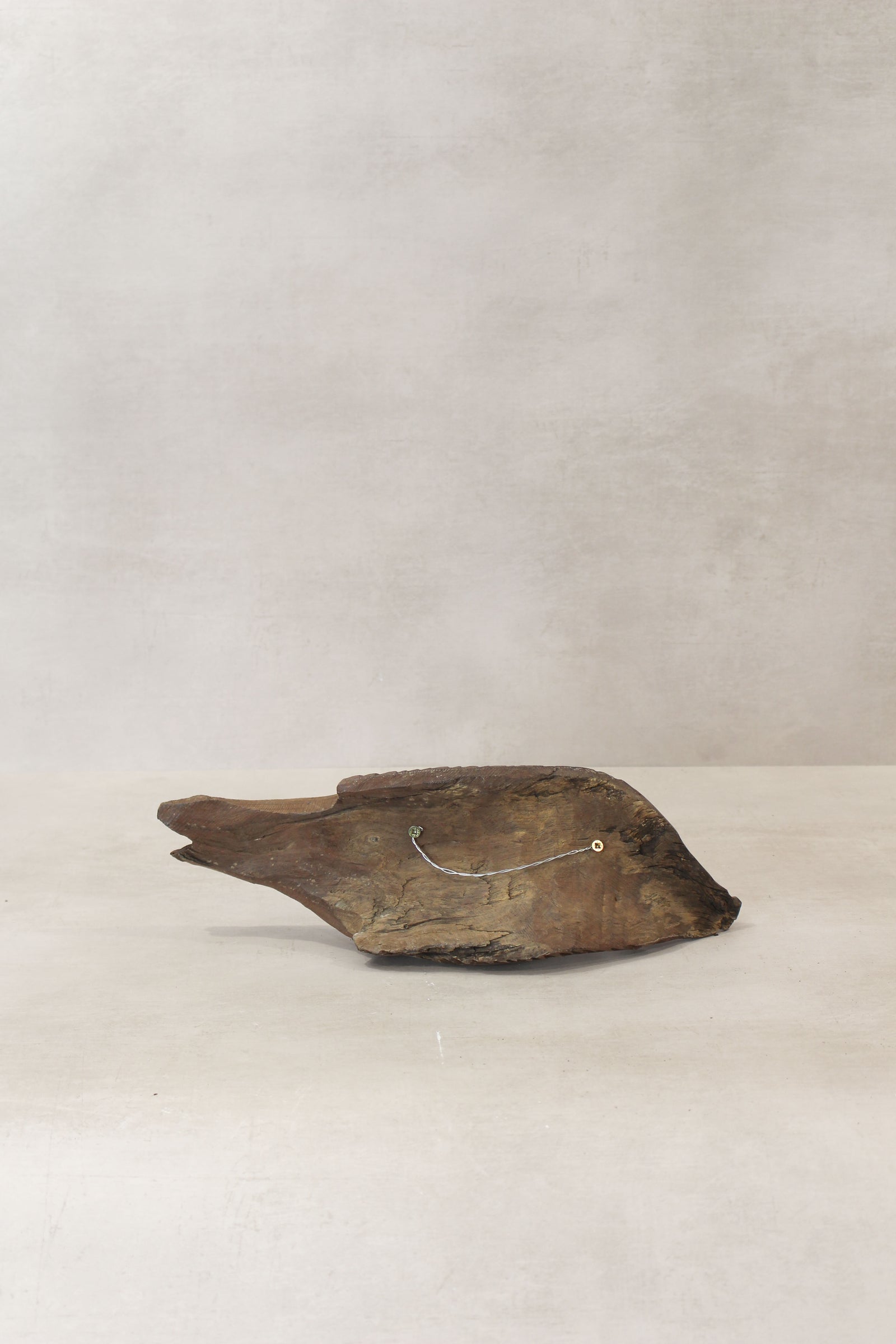 Driftwood Hand Carved Fish - (13.2)