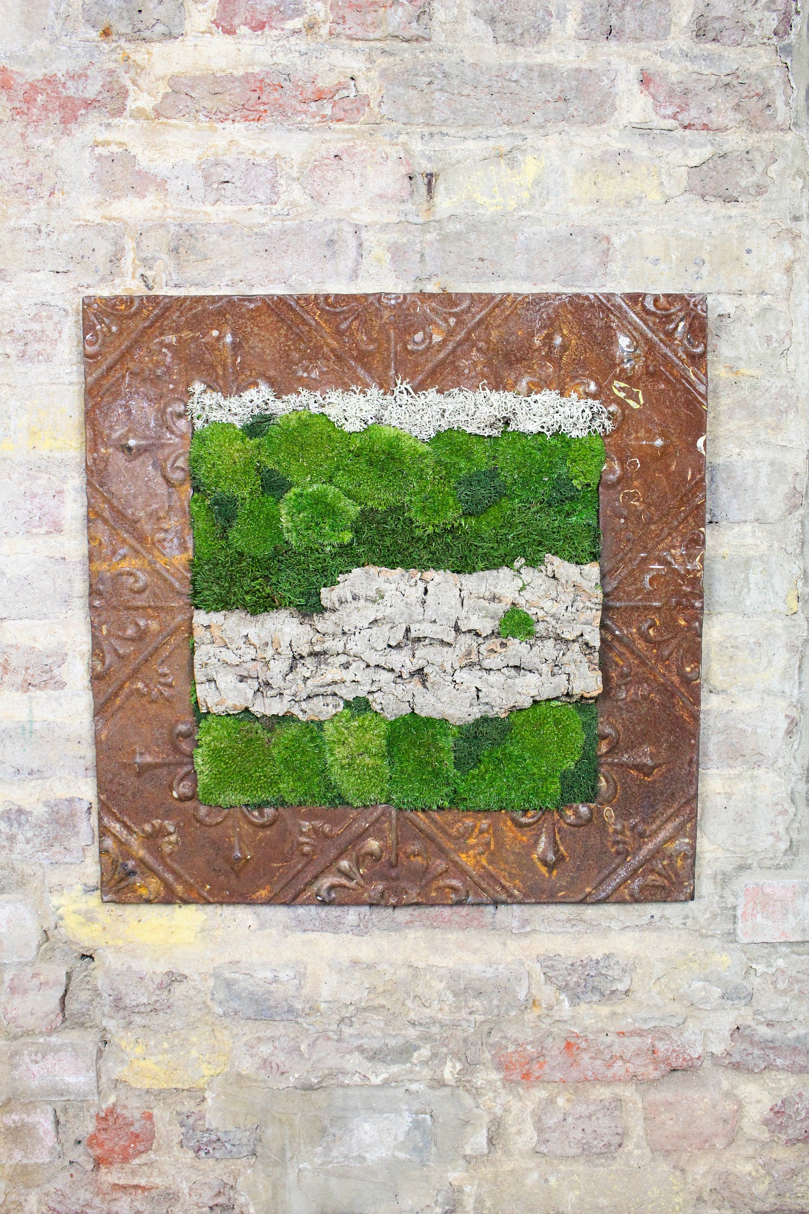 Preserved Moss Art (Victorian Frame) FR72