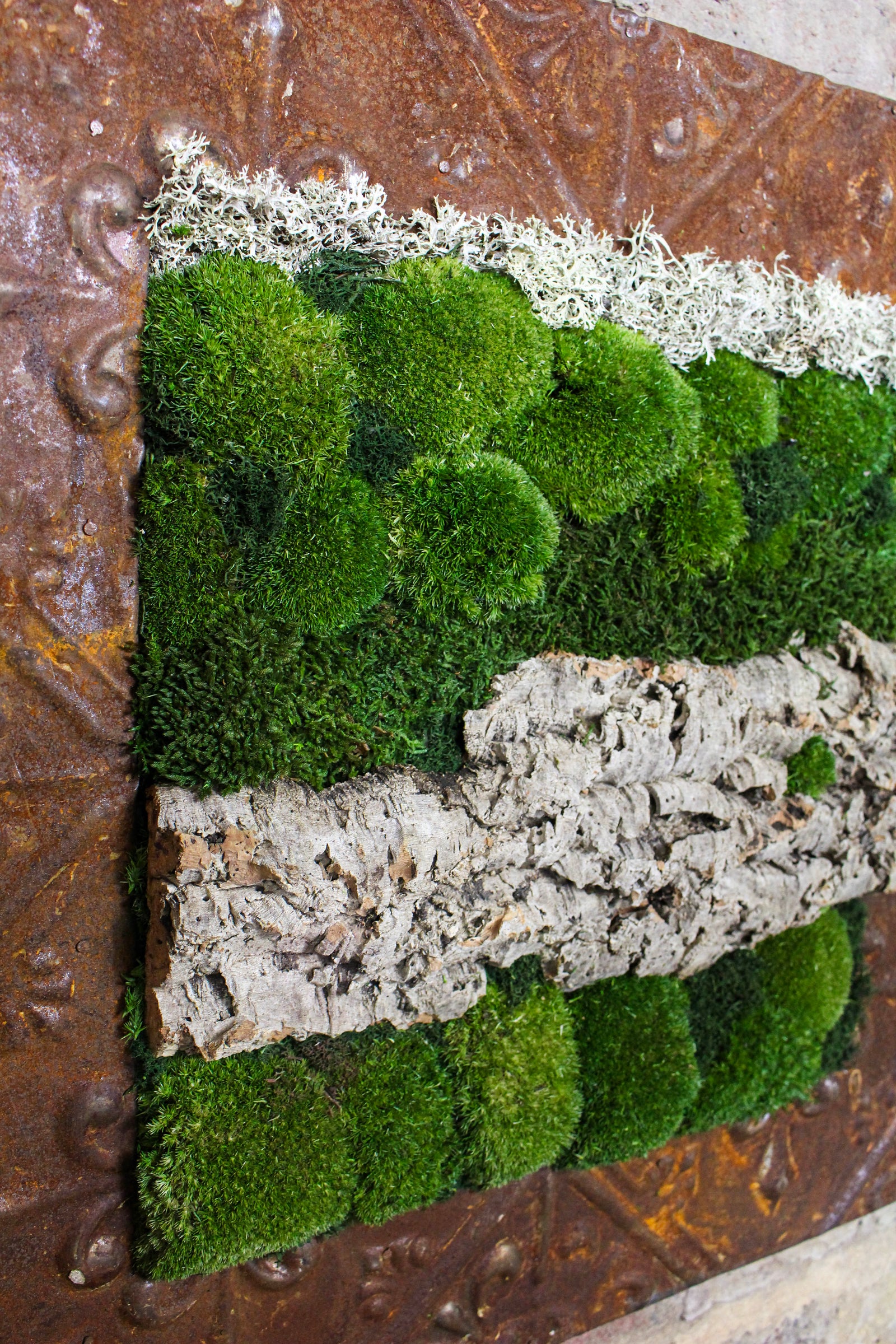 Preserved Moss Art (Victorian Frame) FR72