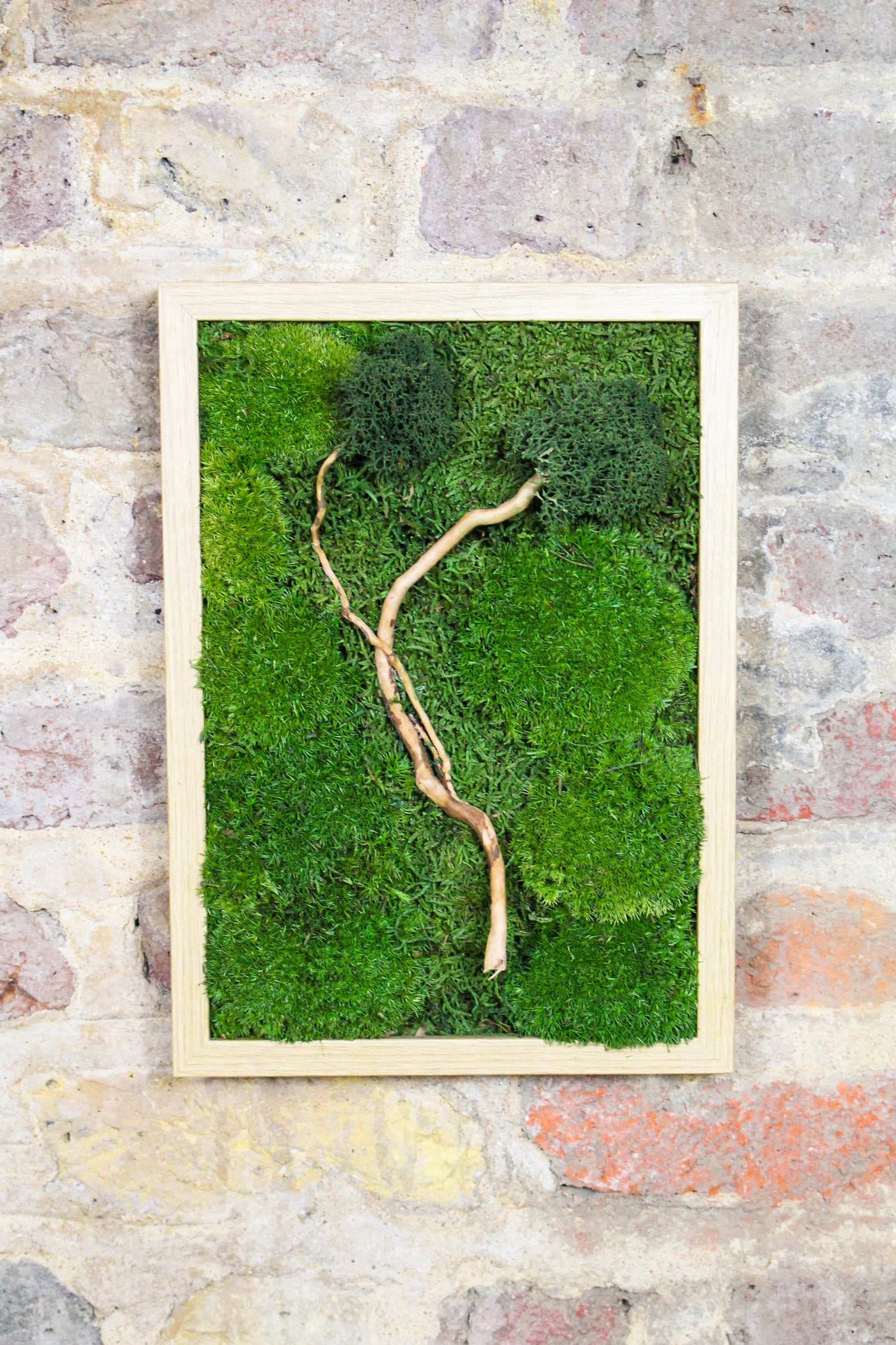 Preserved Moss Art - (Wooden Frame) A4 FR76