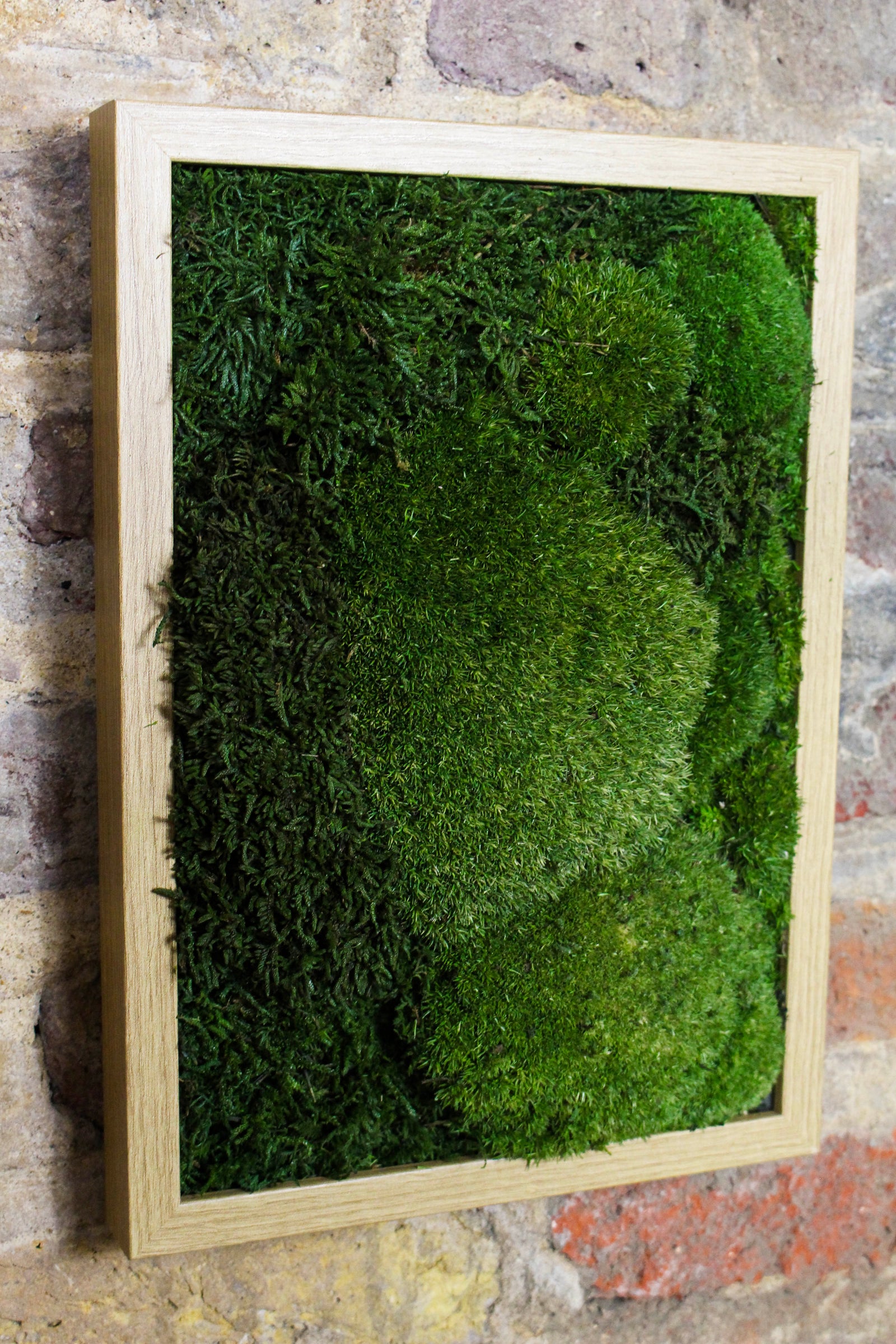 Preserved Moss Art - (Wooden Frame) A4 FR79