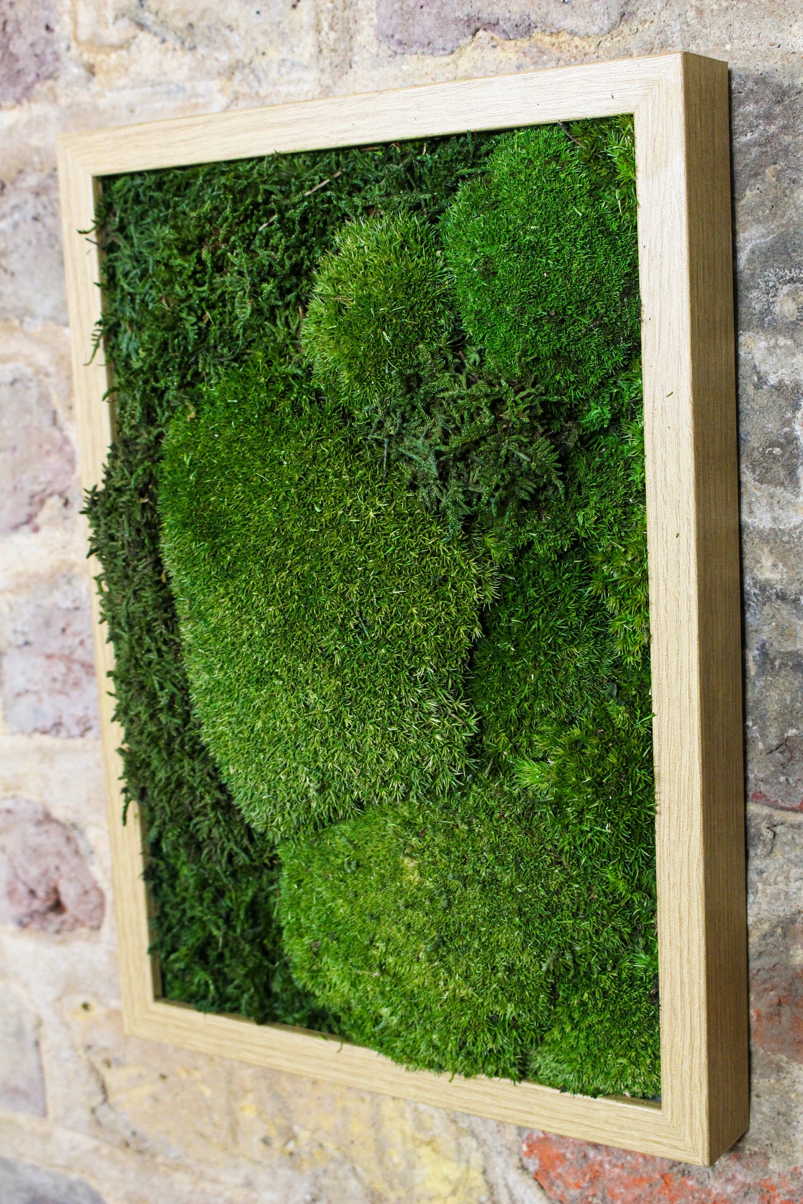Preserved Moss Art - (Wooden Frame) A4 FR79