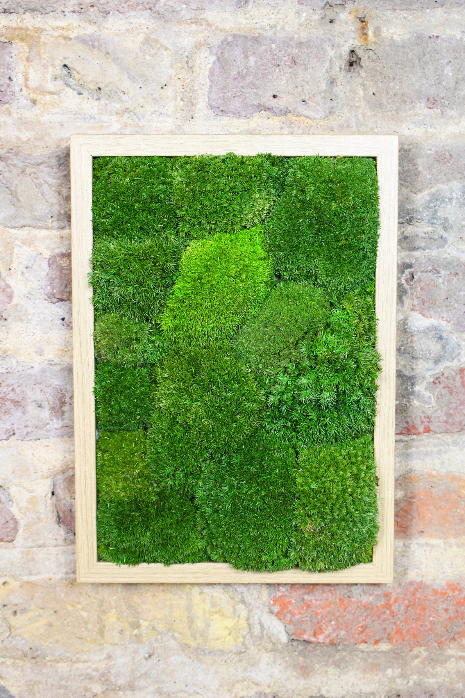Preserved Moss Art - (Wooden Frame) A4 FR80