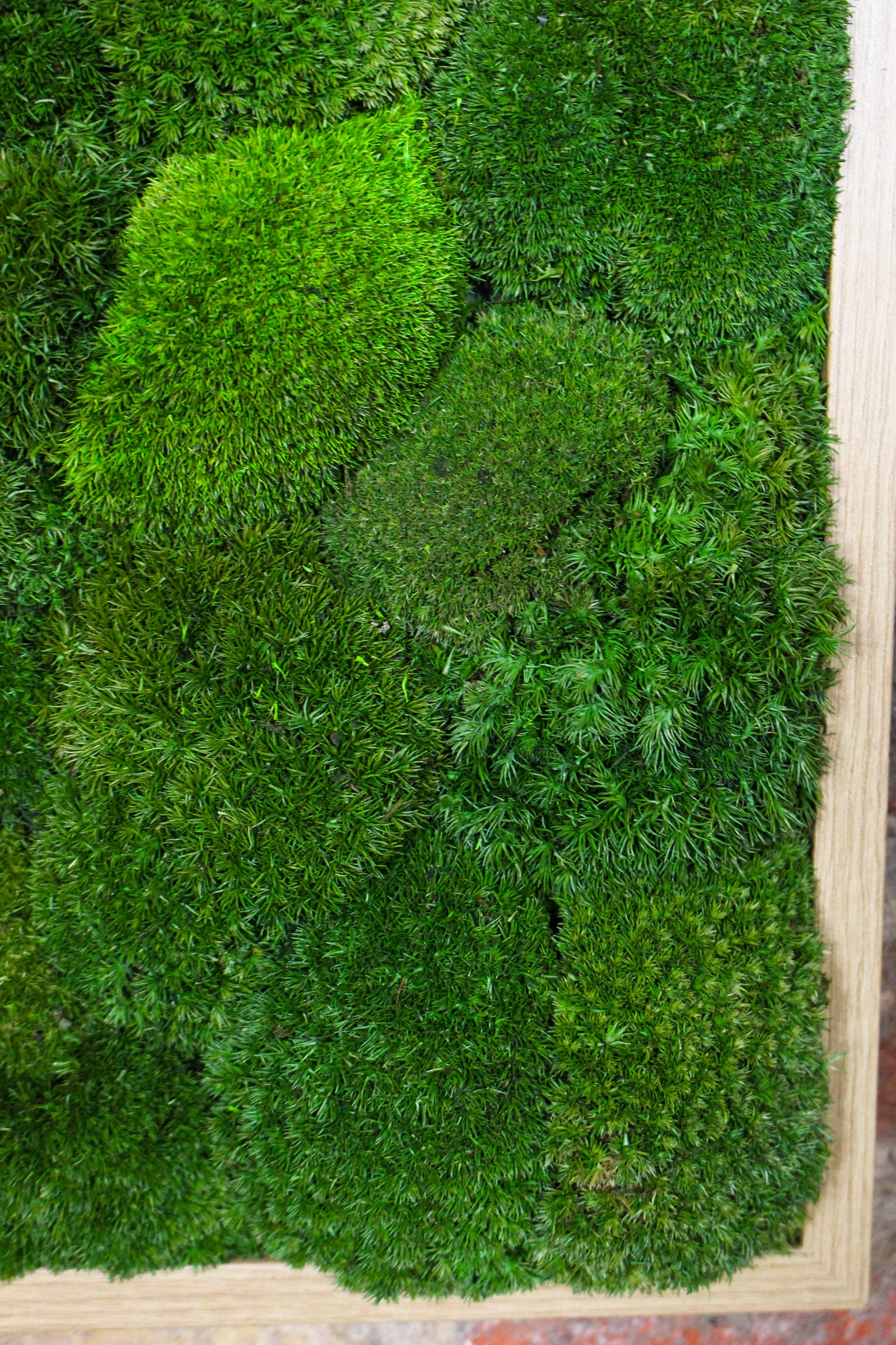 Preserved Moss Art - (Wooden Frame) A4 FR80