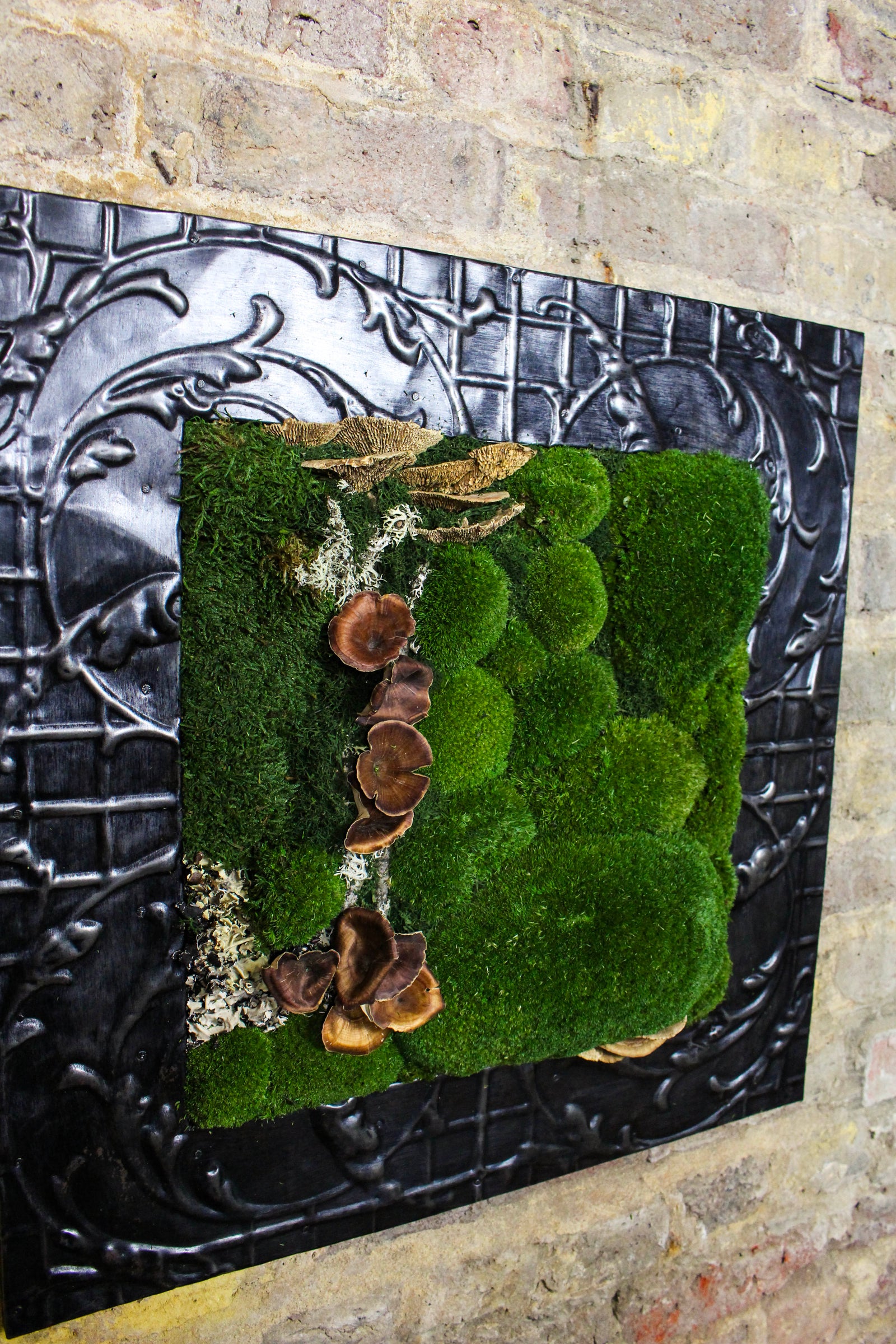 Preserved Moss Art (Victorian Frame) FR81