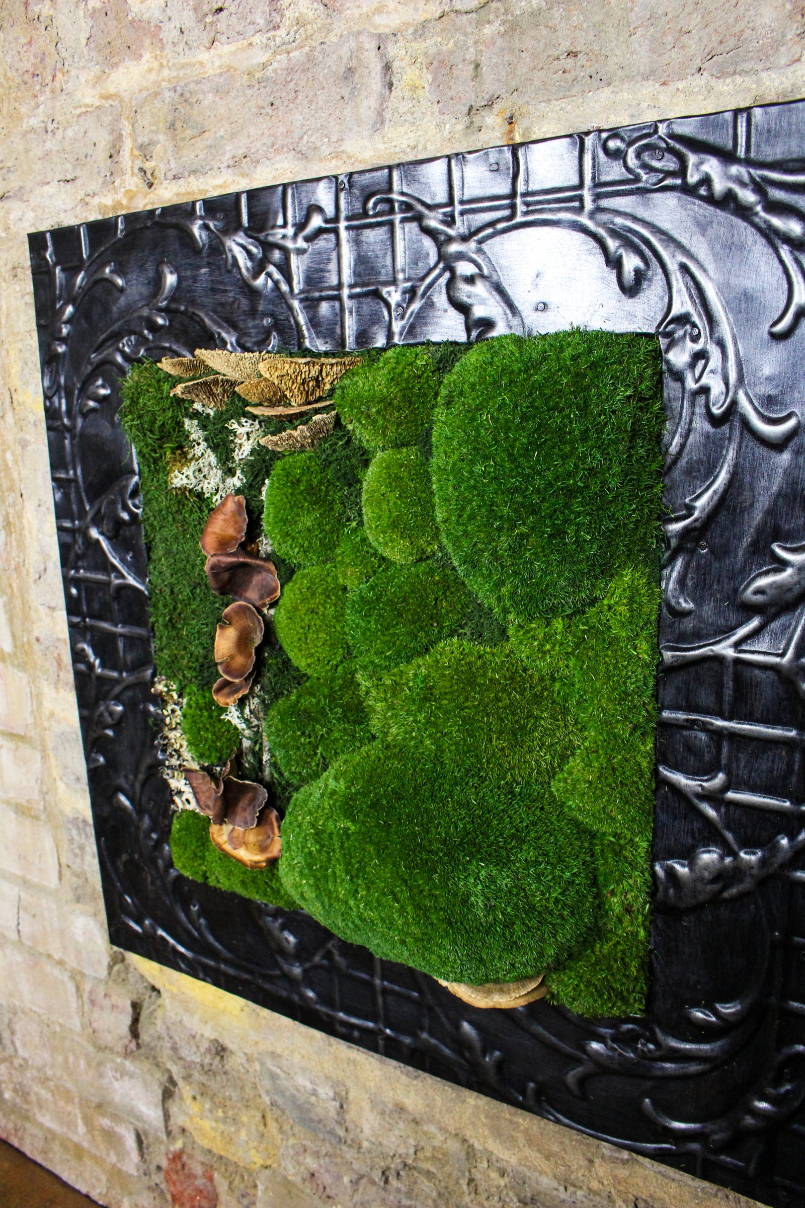 Preserved Moss Art (Victorian Frame) FR81