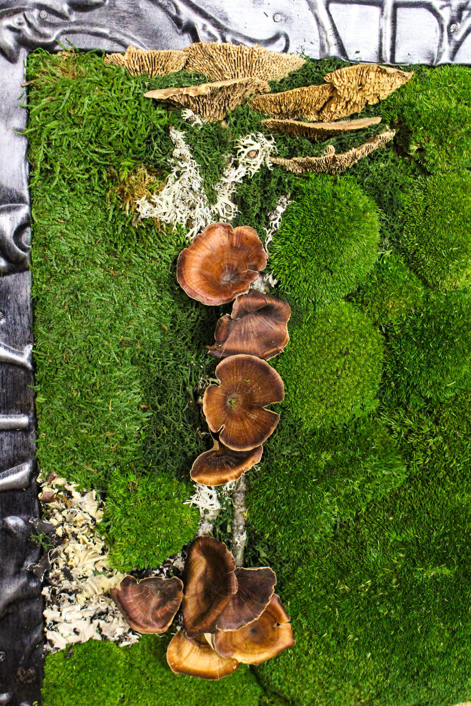 Preserved Moss Art (Victorian Frame) FR81