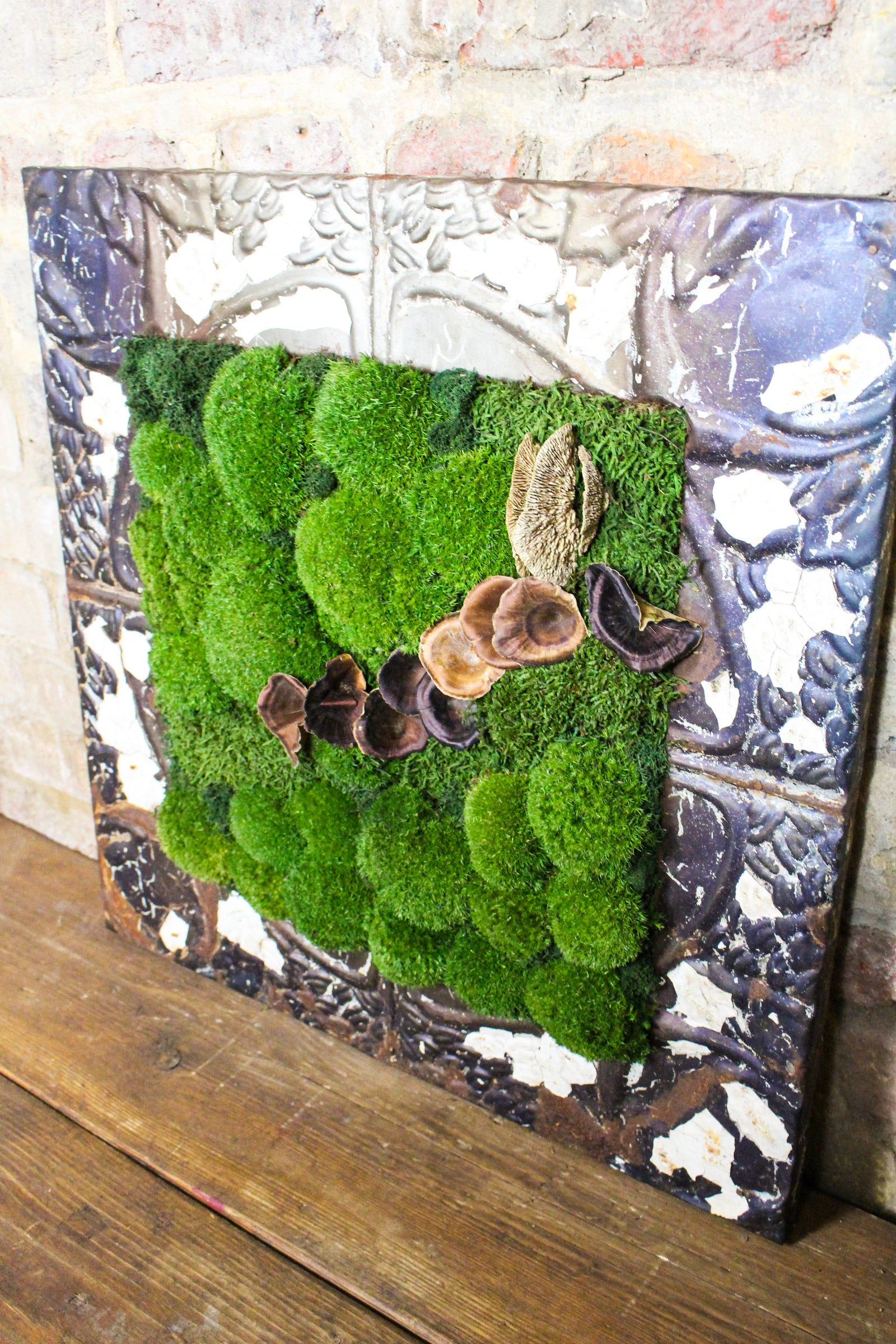 Preserved Moss Art (Victorian Frame) FR82
