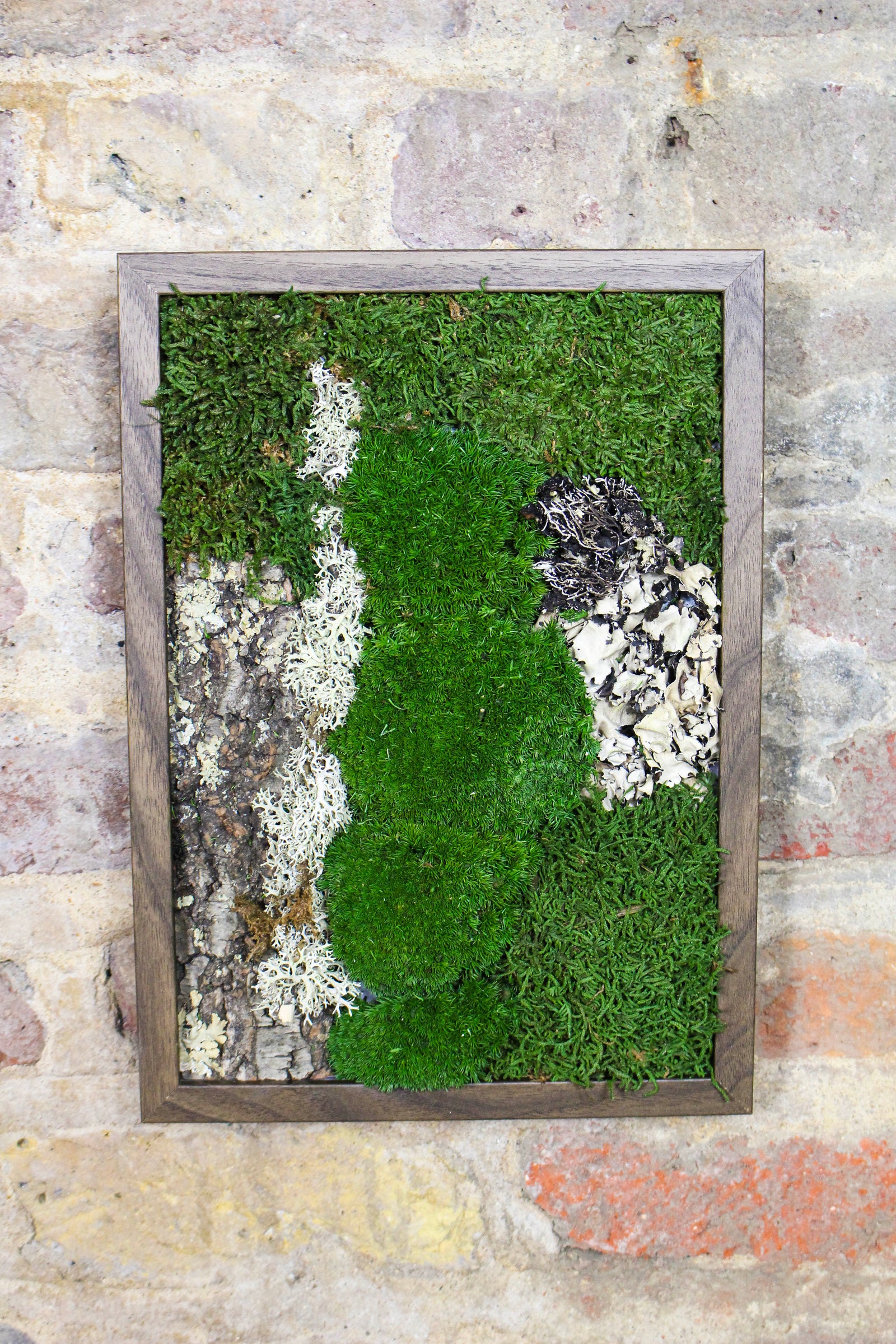 Preserved Moss Art - (Wooden Frame) A4 FR83