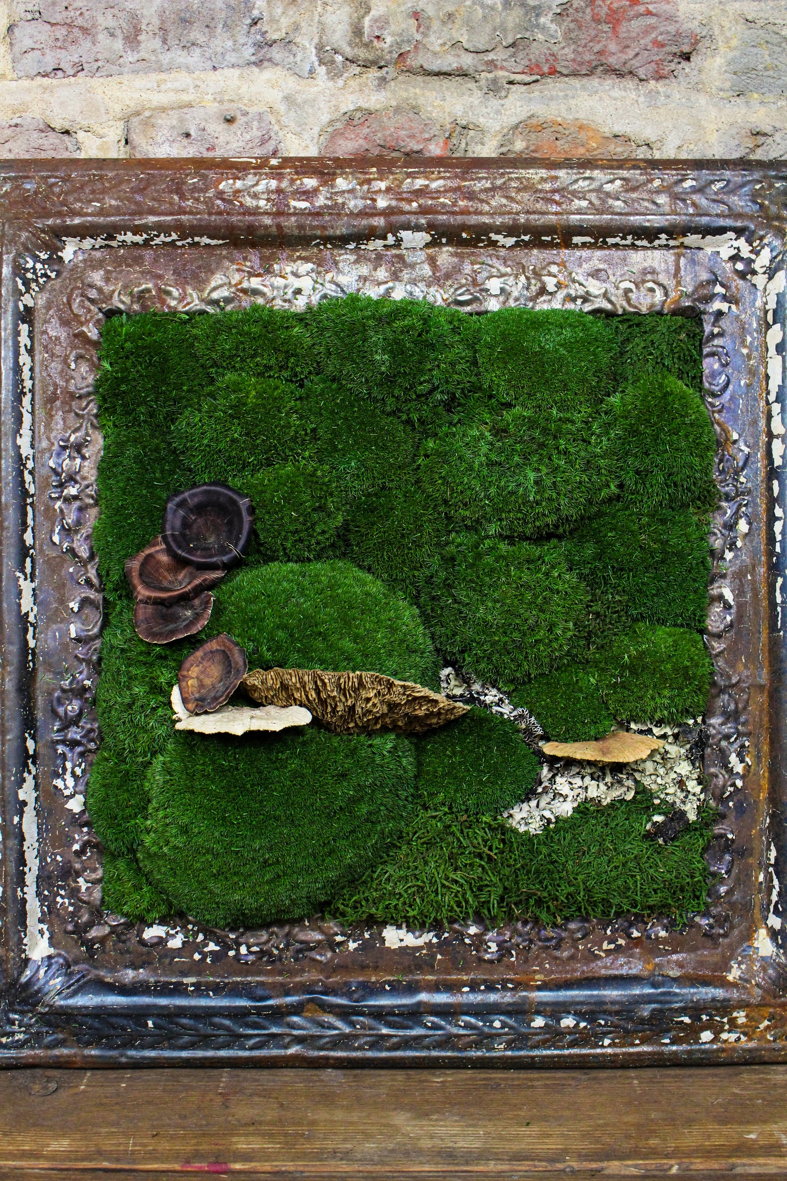 Detail of preserved bun moss and antique frame paintwork (FR85) — Botanical Boys