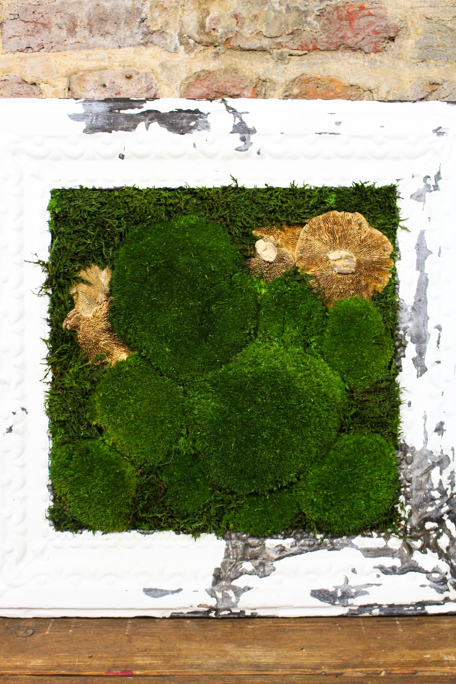 Detail of preserved bun moss and antique frame paintwork (FR87) — Botanical Boys