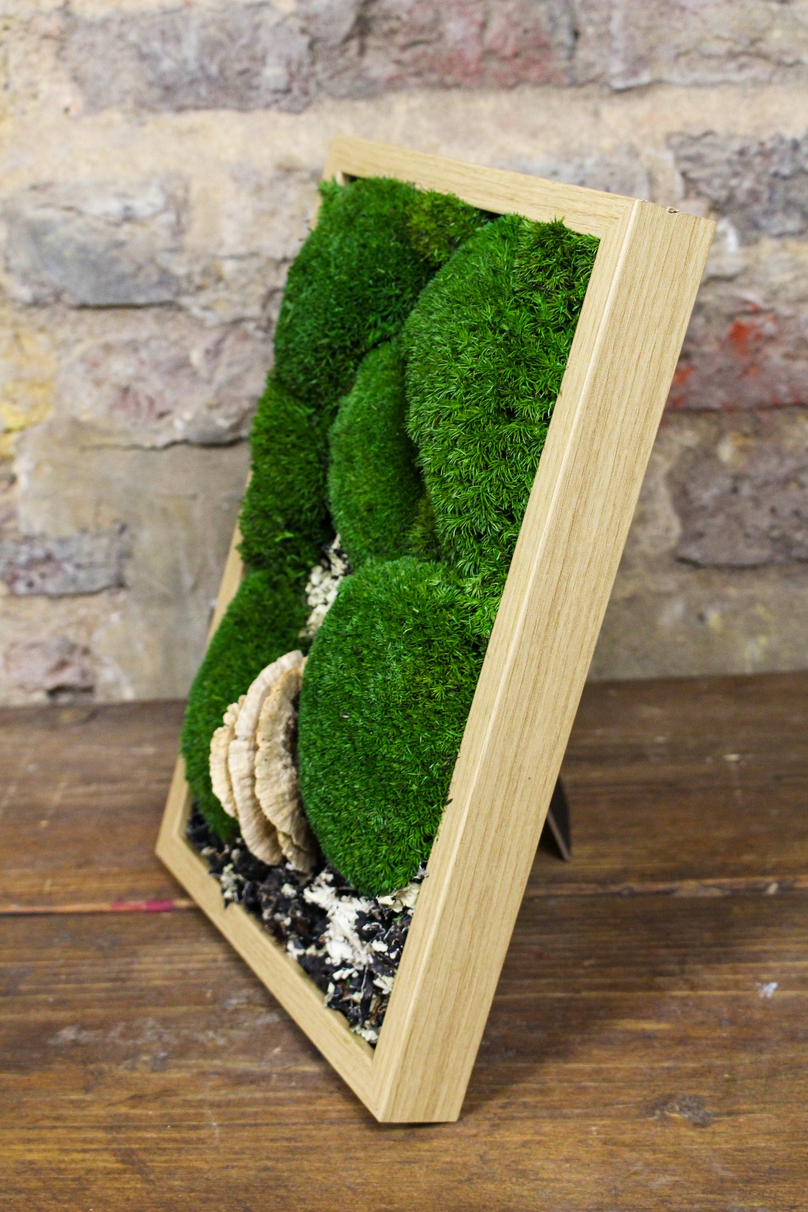 Preserved moss wall art styled in the home (FR91) — Botanical Boys